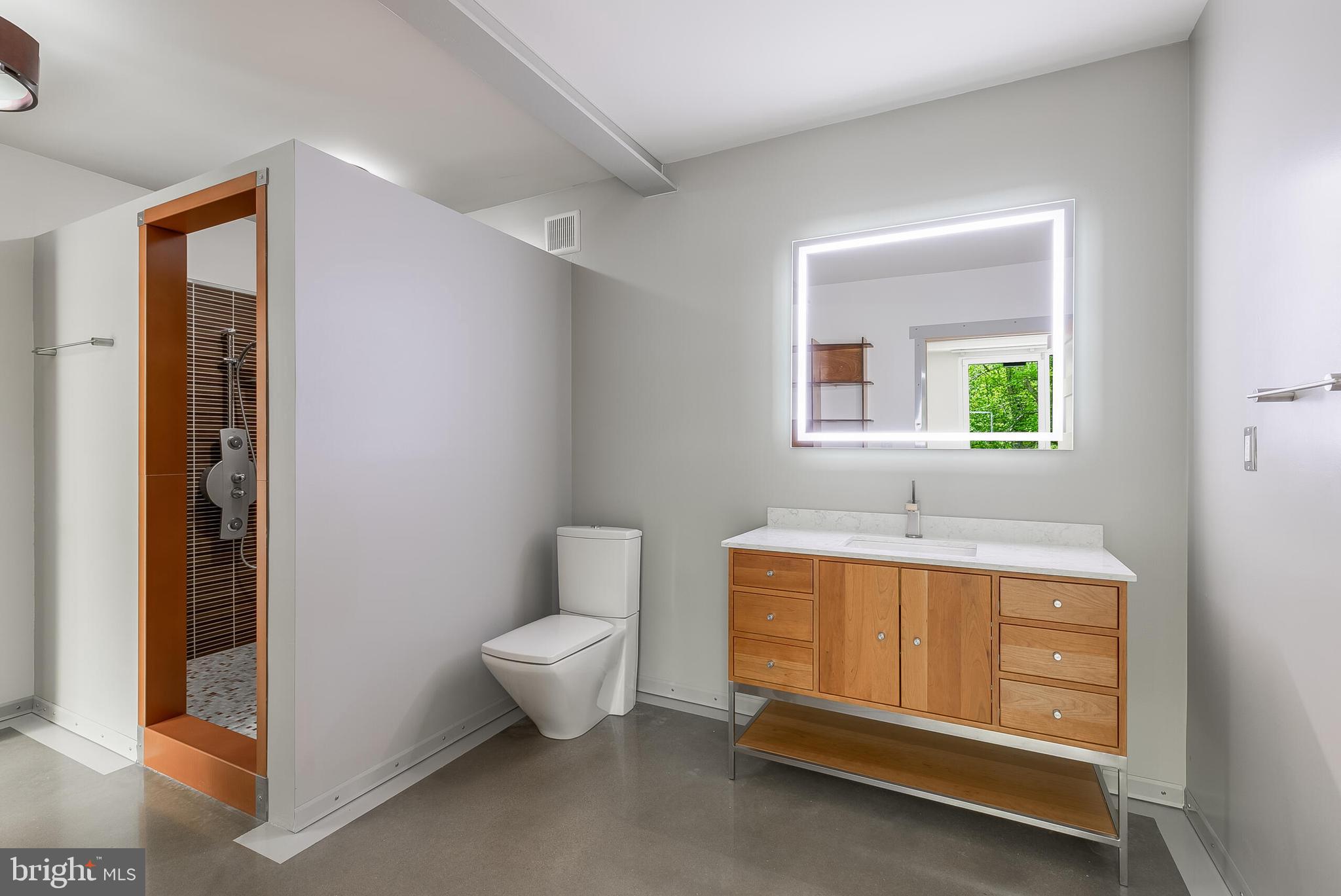 5553 Beverleys Mill Road Broad Run, VA 20137 - Photo 57 of 80 a bathroom with a sink and a mirror