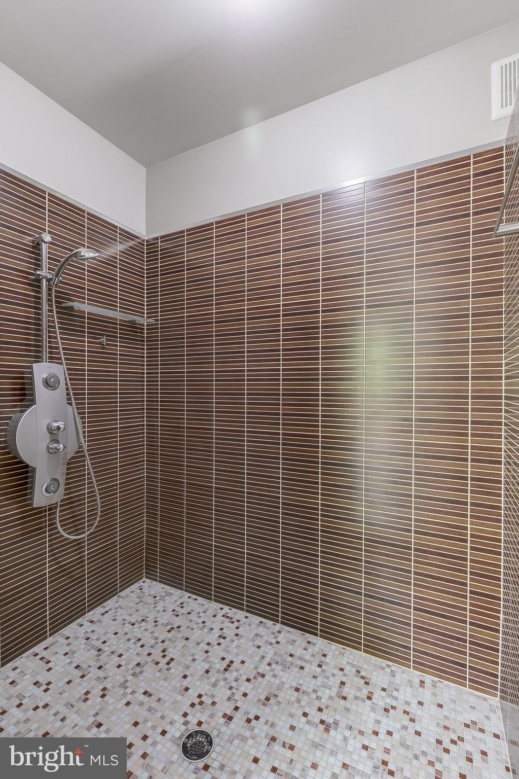 5553 Beverleys Mill Road Broad Run, VA 20137 - Photo 60 of 80 Luxurious shower