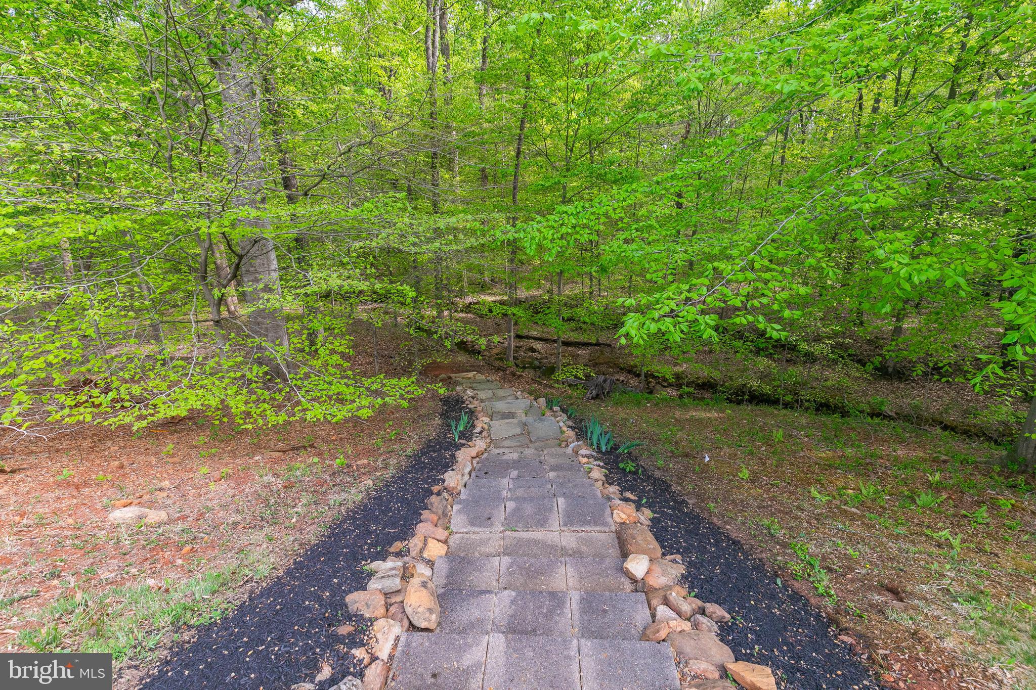 5553 Beverleys Mill Road Broad Run, VA 20137 - Photo 8 of 80 Steps to small stream