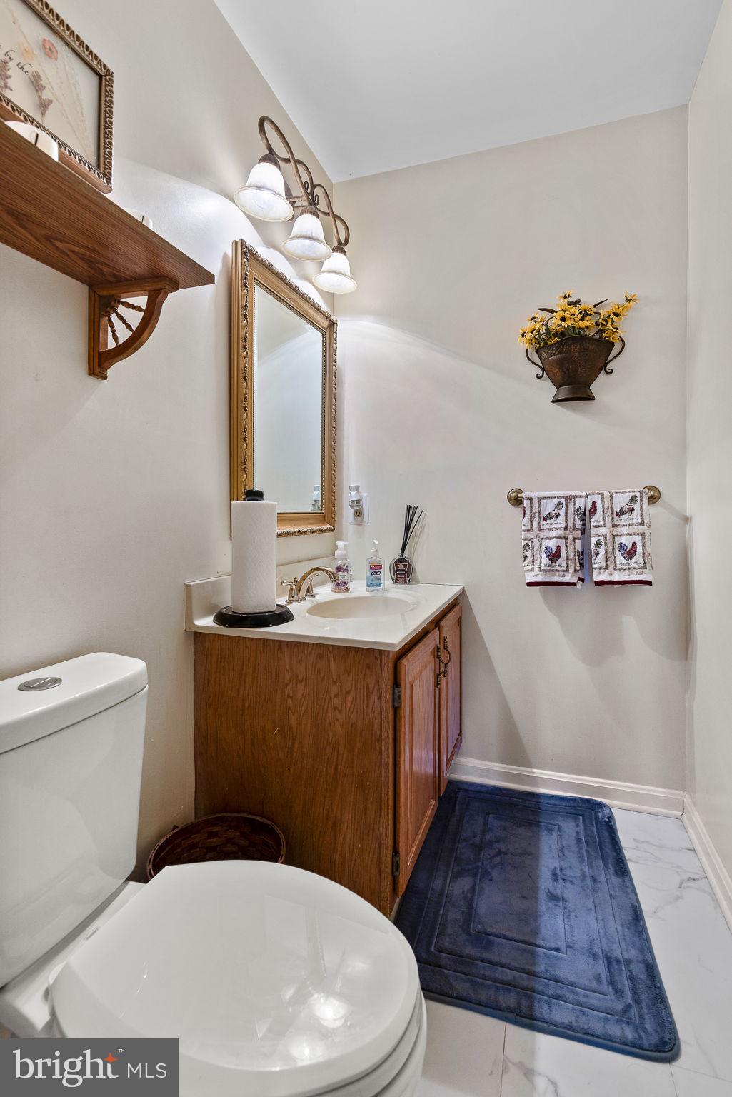219 Kellogg Mill Road Fredericksburg, VA 22406 - Photo 22 of 47 Half bath on the main level