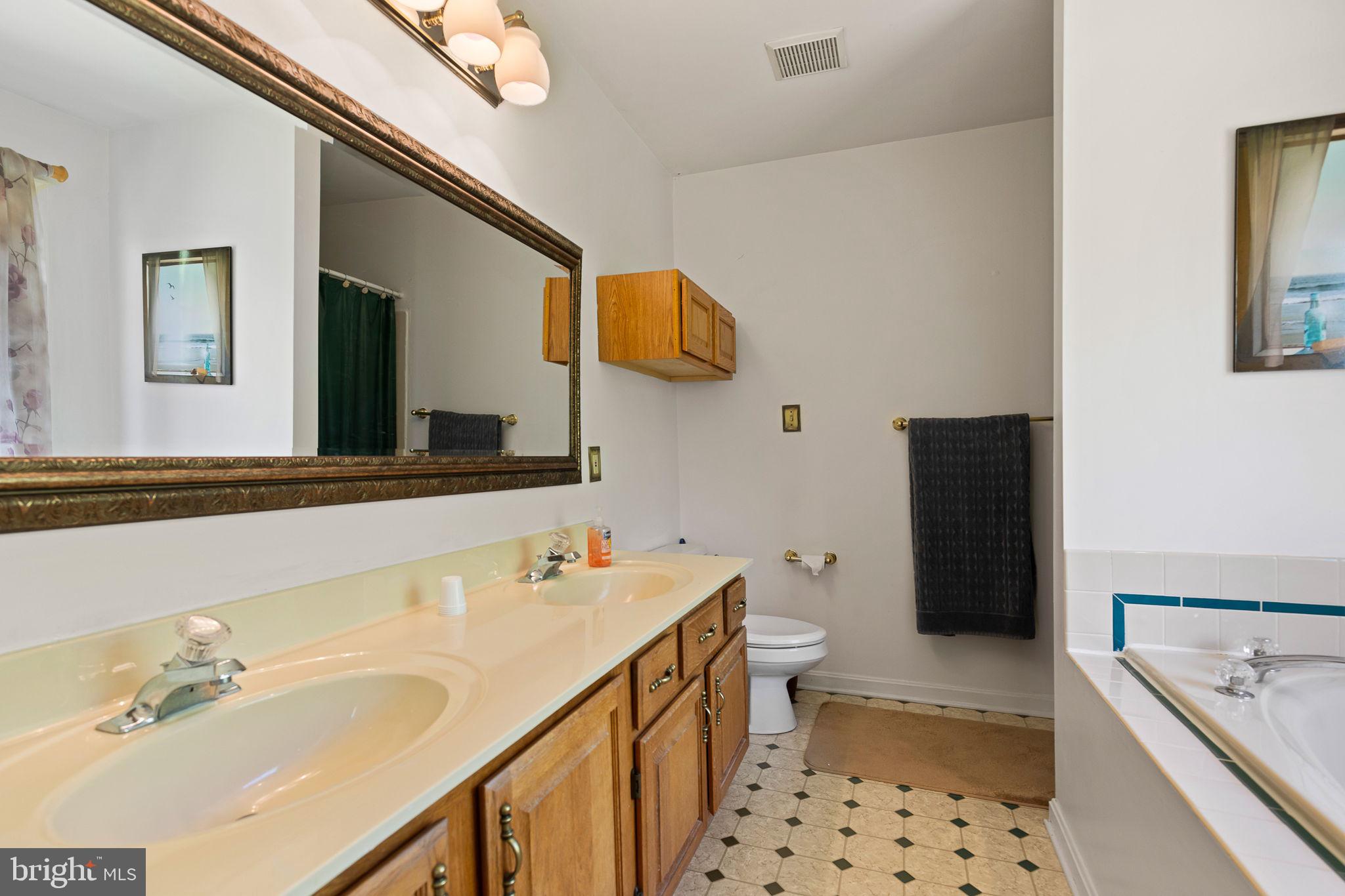 219 Kellogg Mill Road Fredericksburg, VA 22406 - Photo 27 of 47 Primary bath with double vanity