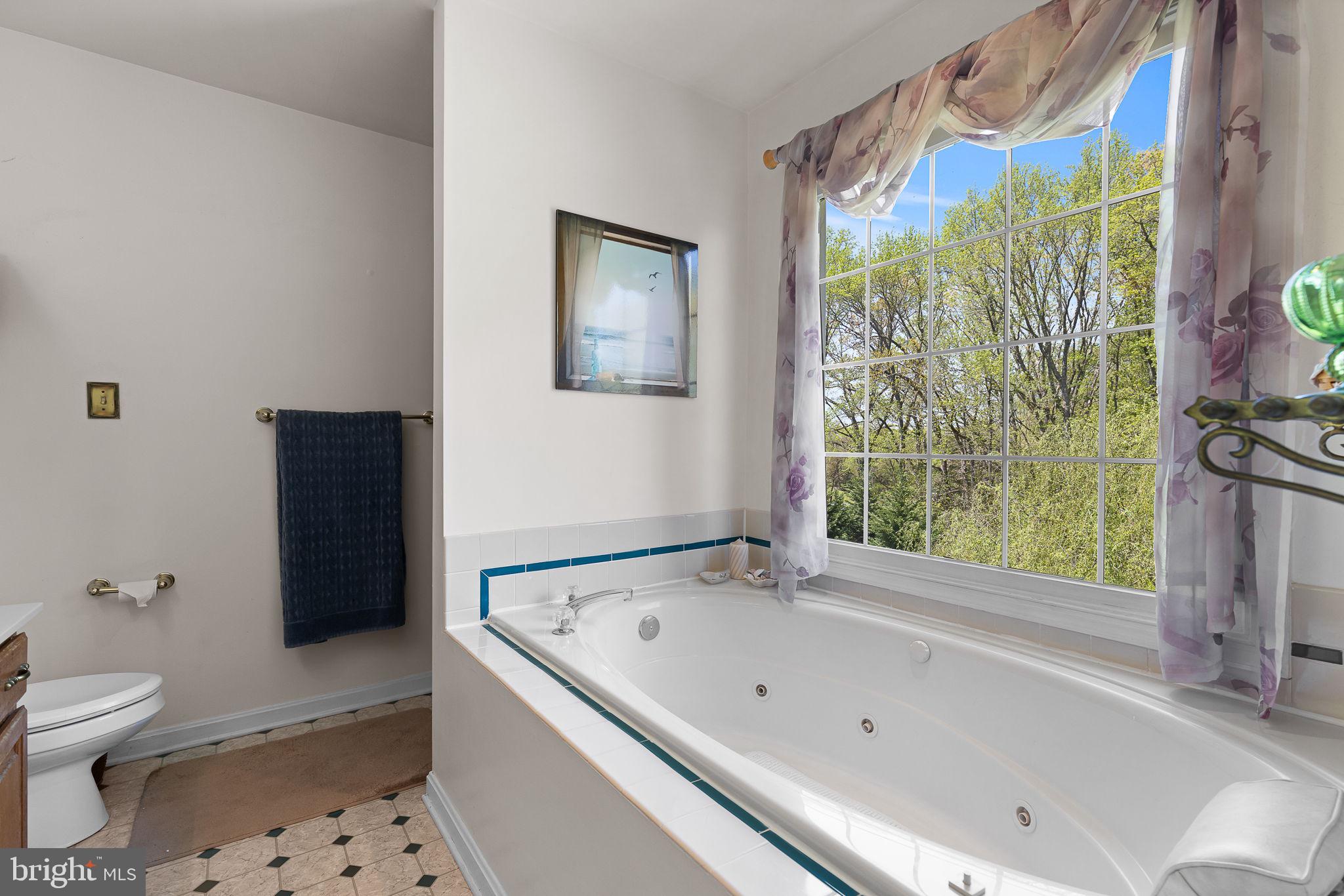 219 Kellogg Mill Road Fredericksburg, VA 22406 - Photo 28 of 47 Primary bathroom with Jetted oversized tub