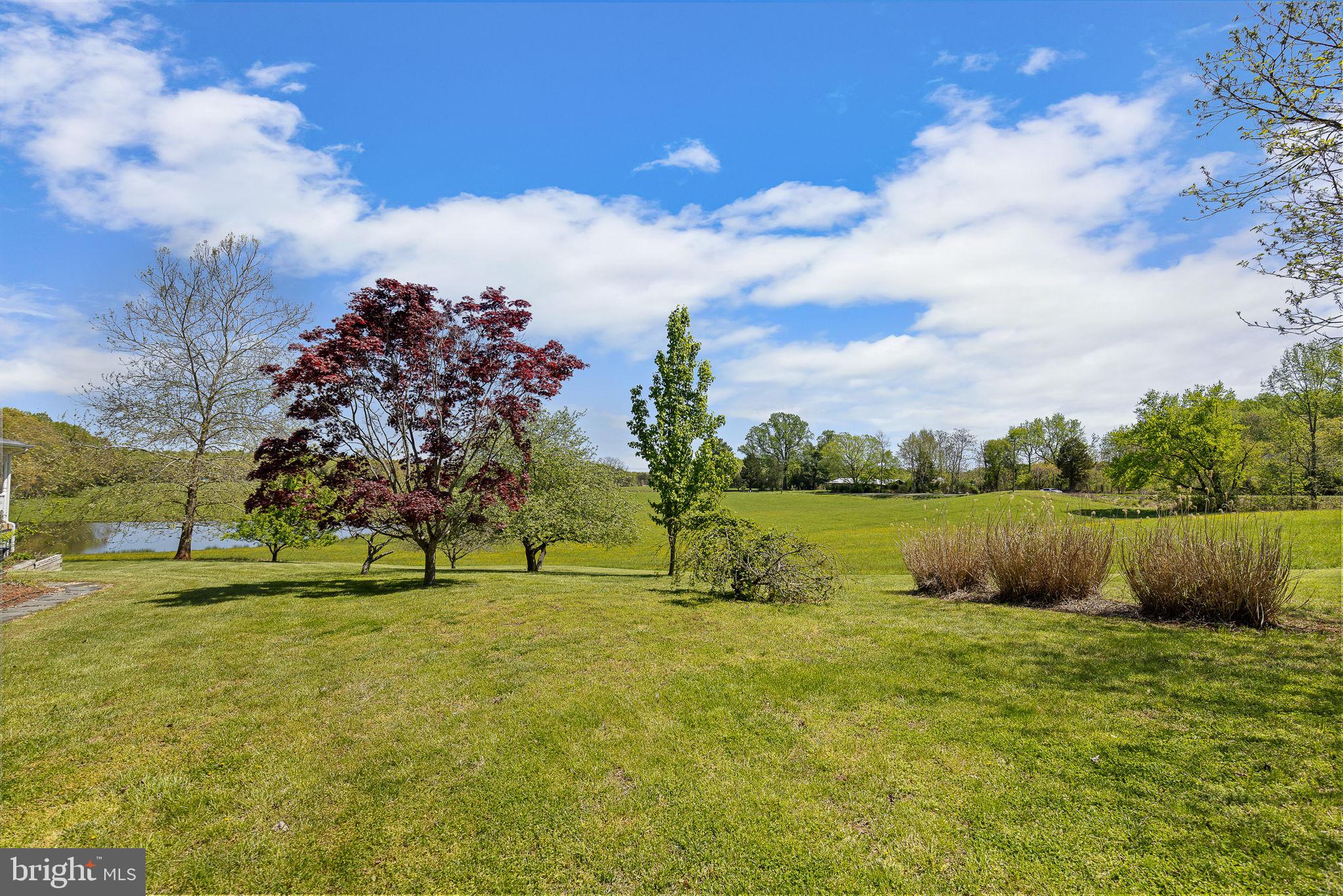219 Kellogg Mill Road Fredericksburg, VA 22406 - Photo 46 of 47 Fruit trees