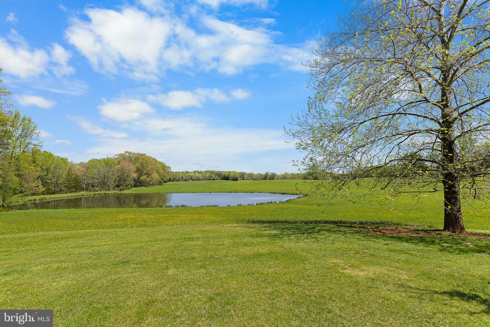 219 Kellogg Mill Road Fredericksburg, VA 22406 - Photo 47 of 47 View of the pond next door