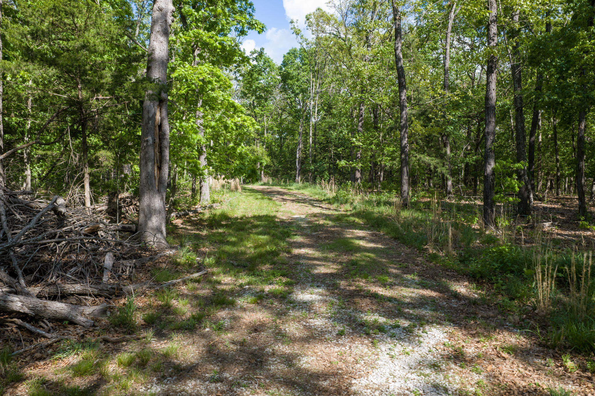 0 East 325th Road Flemington, MO 65650 - Photo 18 of 27 Flemington
