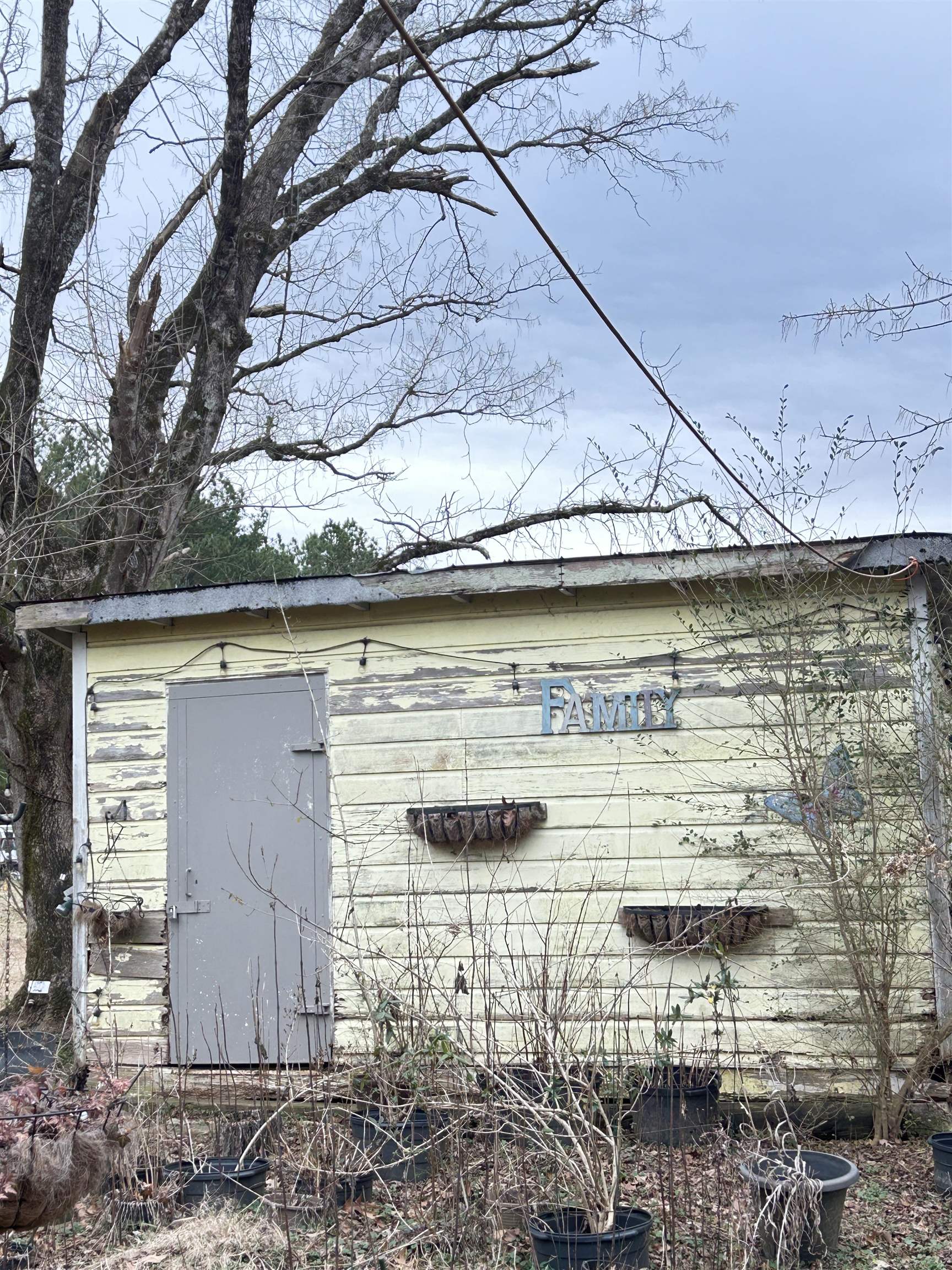 11381 Macon Road Eads, TN 38028 - Photo 14 of 21 a view of a door of the house and a yard