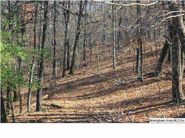 0 Lynn Road, Unit 38 ACRES Anniston, AL 36207 - Photo 2 of 9 Gallery Image 2