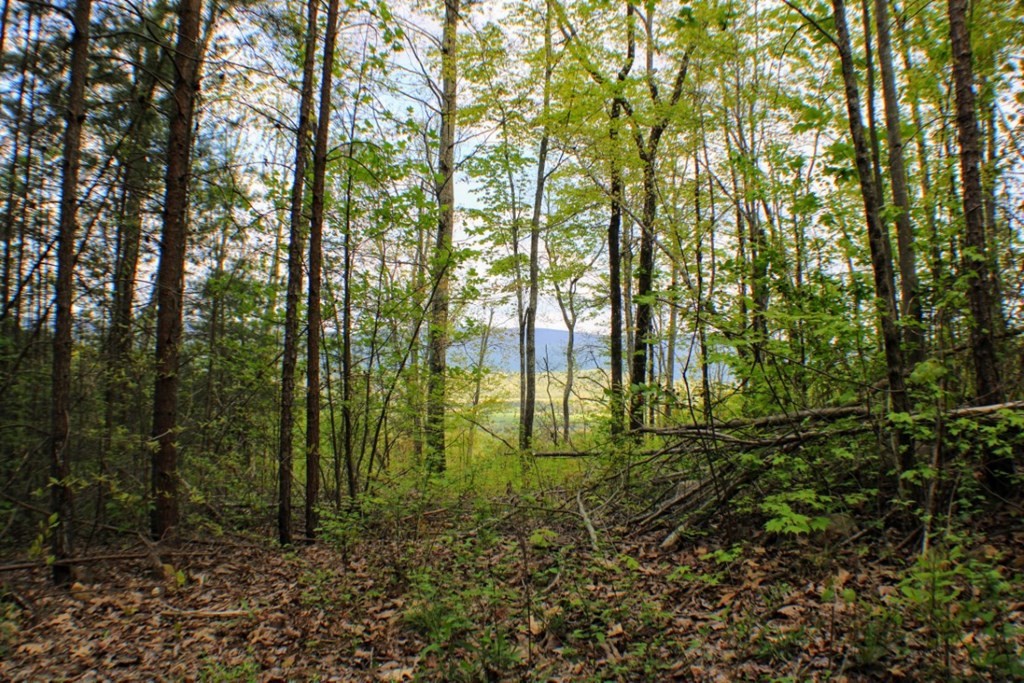 0 Blue Sewanee Road Dunlap, TN 37327 - Photo 10 of 16 Gallery Image 10