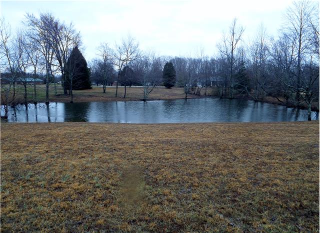 155 Yates Road Hohenwald, TN 38462 - Photo 5 of 20 Beautiful stocked pond...with serene setting to relax and go fishing!