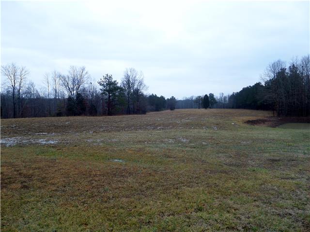 155 Yates Road Hohenwald, TN 38462 - Photo 6 of 20 View of the field with another pond. Perfect for livestock.