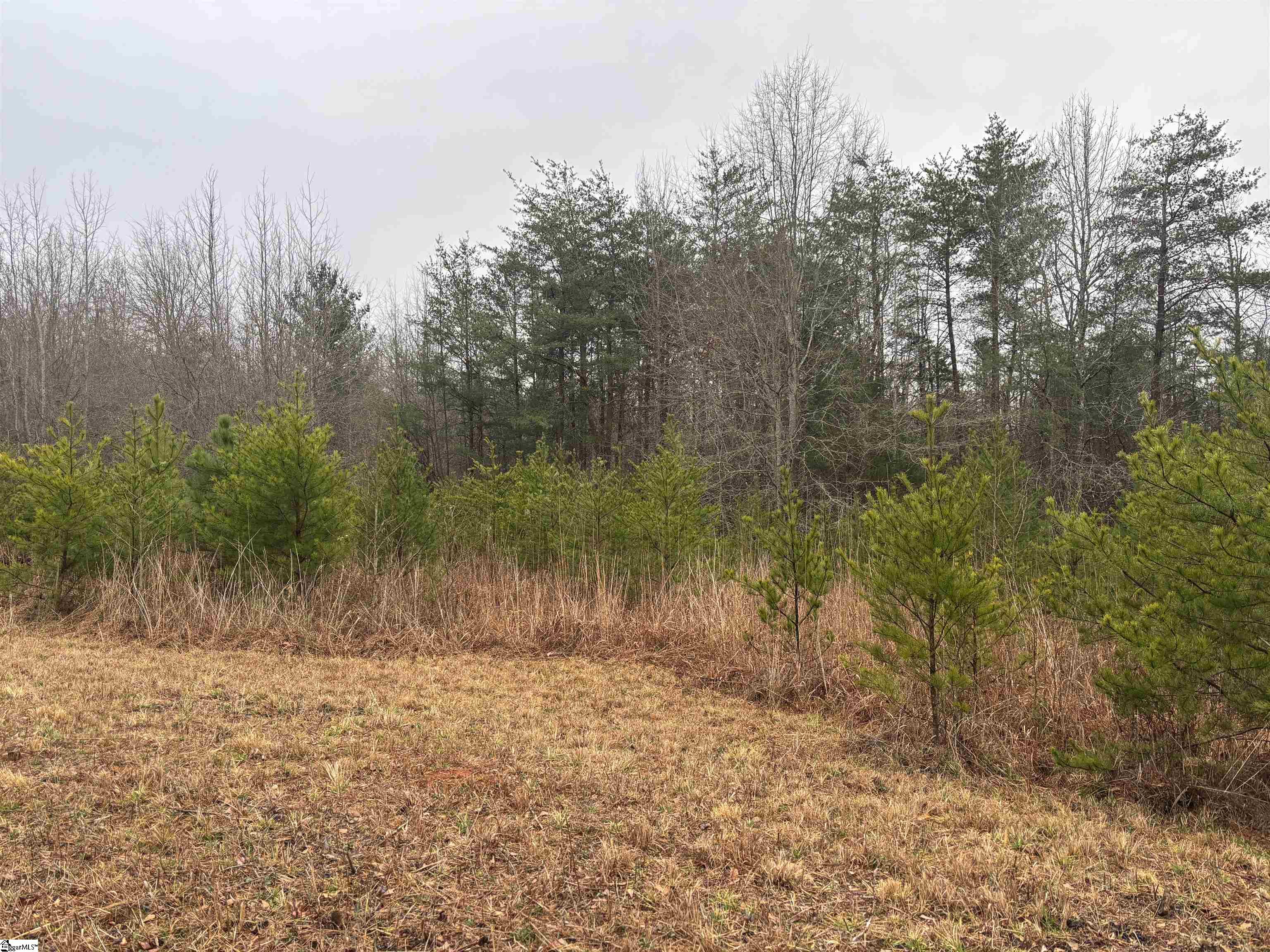 4024 Highway 414 Landrum, SC 29356 - Photo 2 of 4