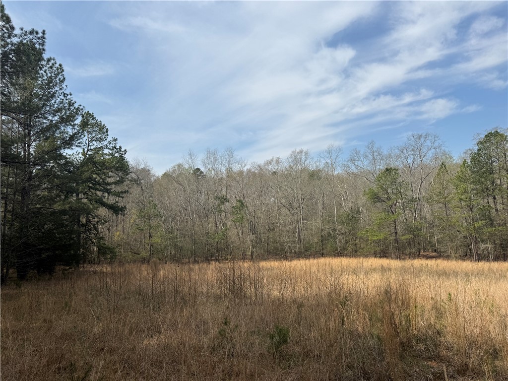 0 Holland Ford Road Pelzer, SC 29669 - Photo 16 of 35