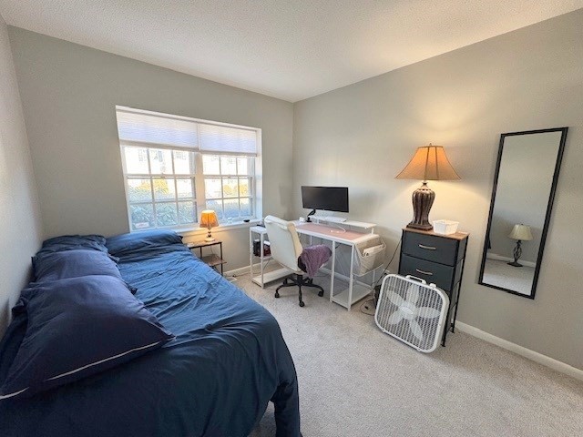 149 Lake Shore Road, Unit 2 Boston, MA 02135 - Photo 14 of 16