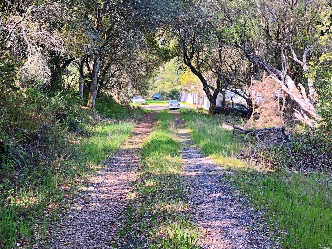 720 Sexton Road Sebastopol, CA 95472 - Photo 1 of 1 a view of a lake with a yard and large trees