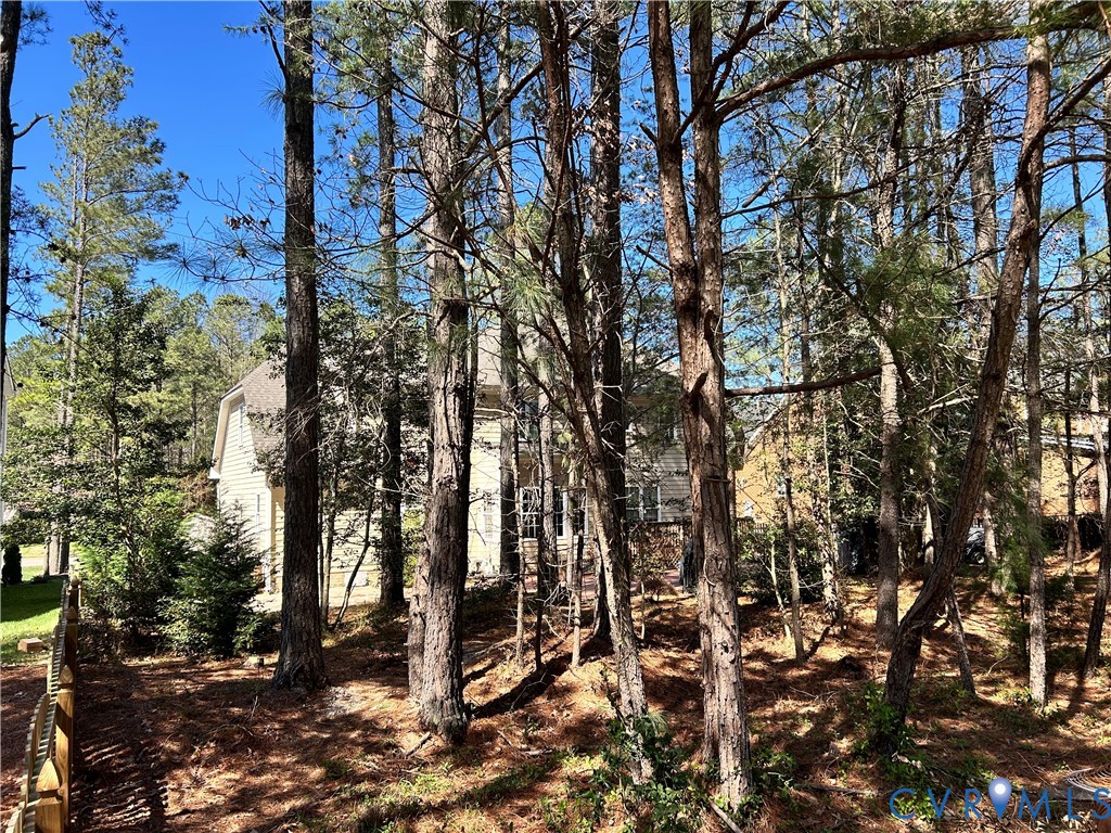 11385 Winding River Road Providence Forge, VA 23140 - Photo 21 of 22