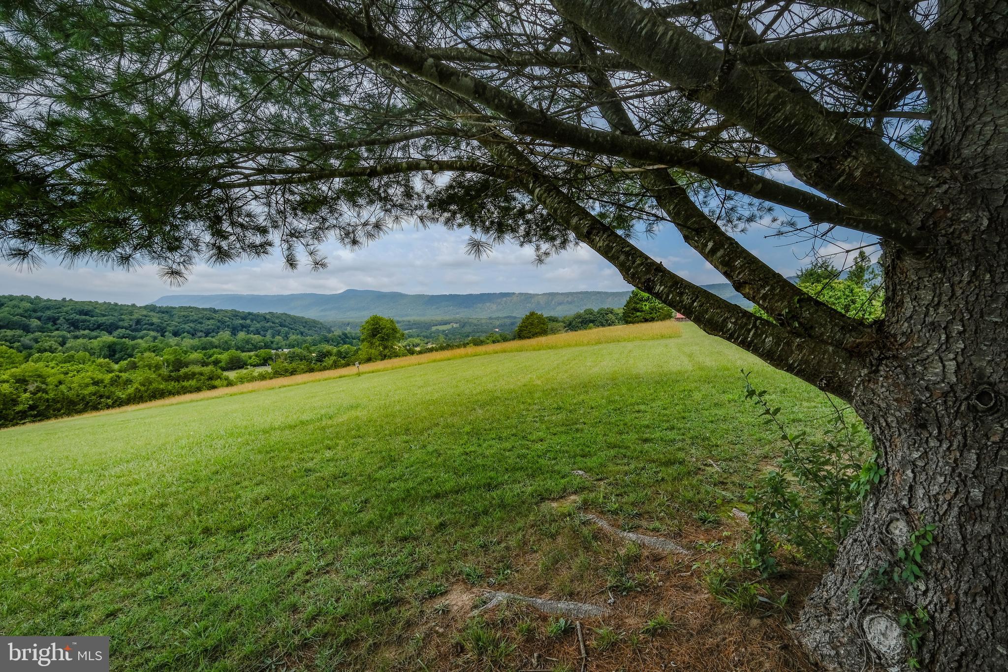 217 Silver Bell Lane Luray, VA 22835 - Photo 78 of 103