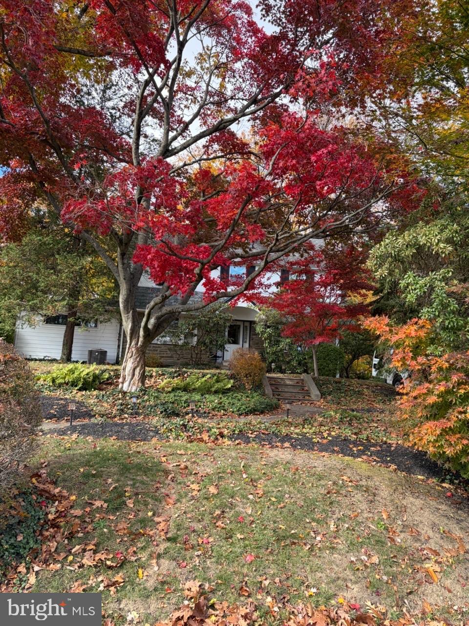 8210 Fairview Road Elkins Park, PA 19027 - Photo 51 of 55