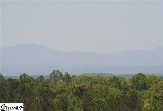 Bruce Randall Road Lavonia, GA 30553 - Photo 17 of 24