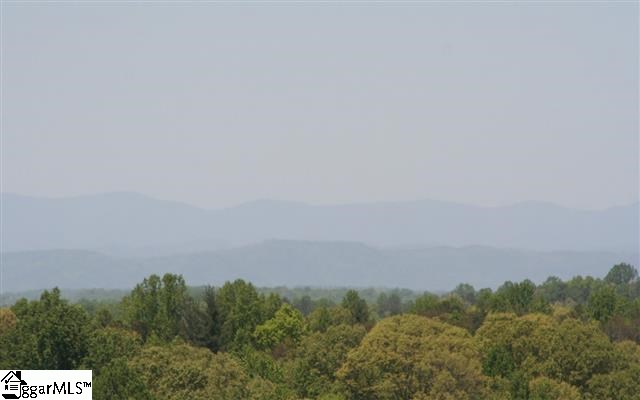 Bruce Randall Road Lavonia, GA 30553 - Photo 19 of 24