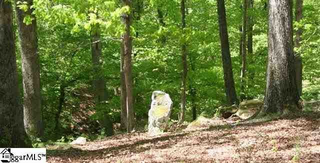 Bruce Randall Road Lavonia, GA 30553 - Photo 10 of 24