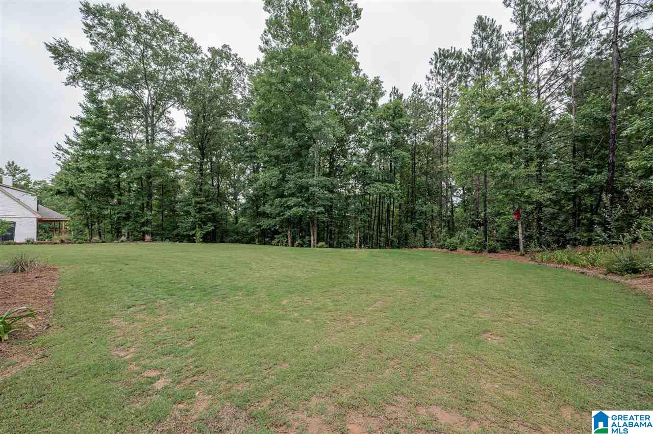 325 Camp Forrest Trail Helena, AL 35080 - Photo 48 of 50