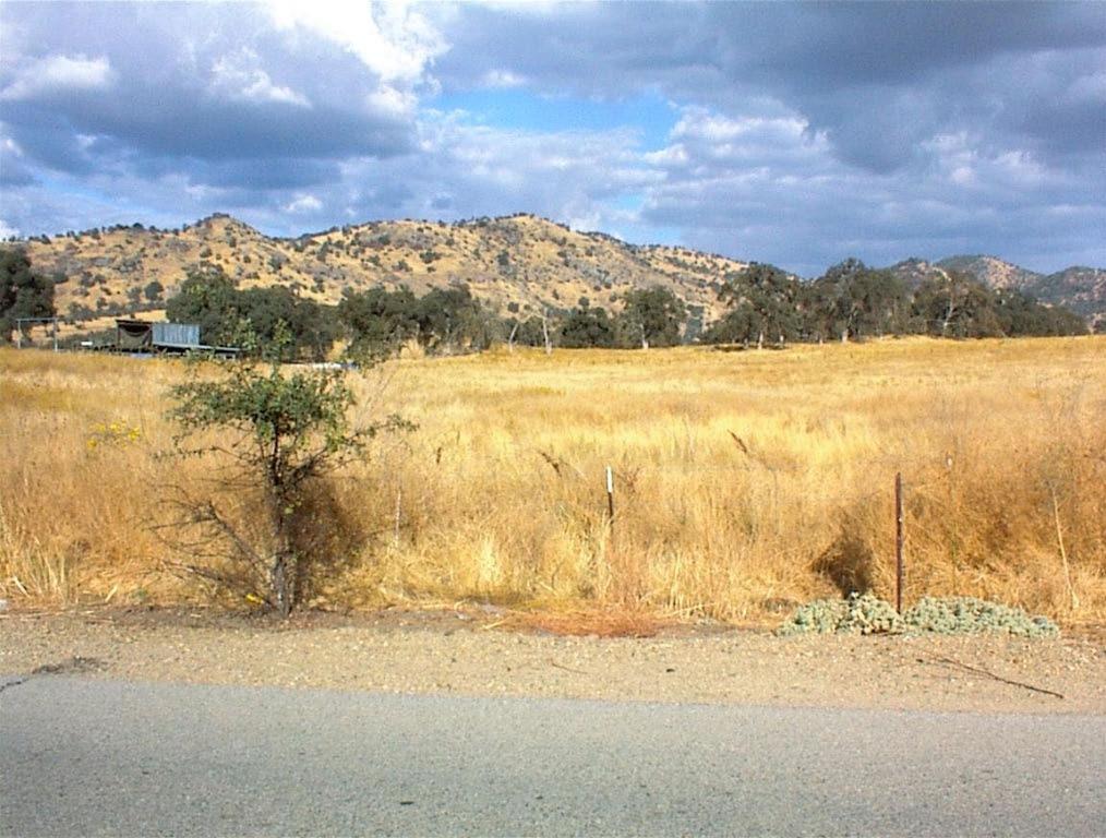 26 Indian Guide Road Squaw Valley, CA 93675 - Photo 3 of 7 Gallery Image 3