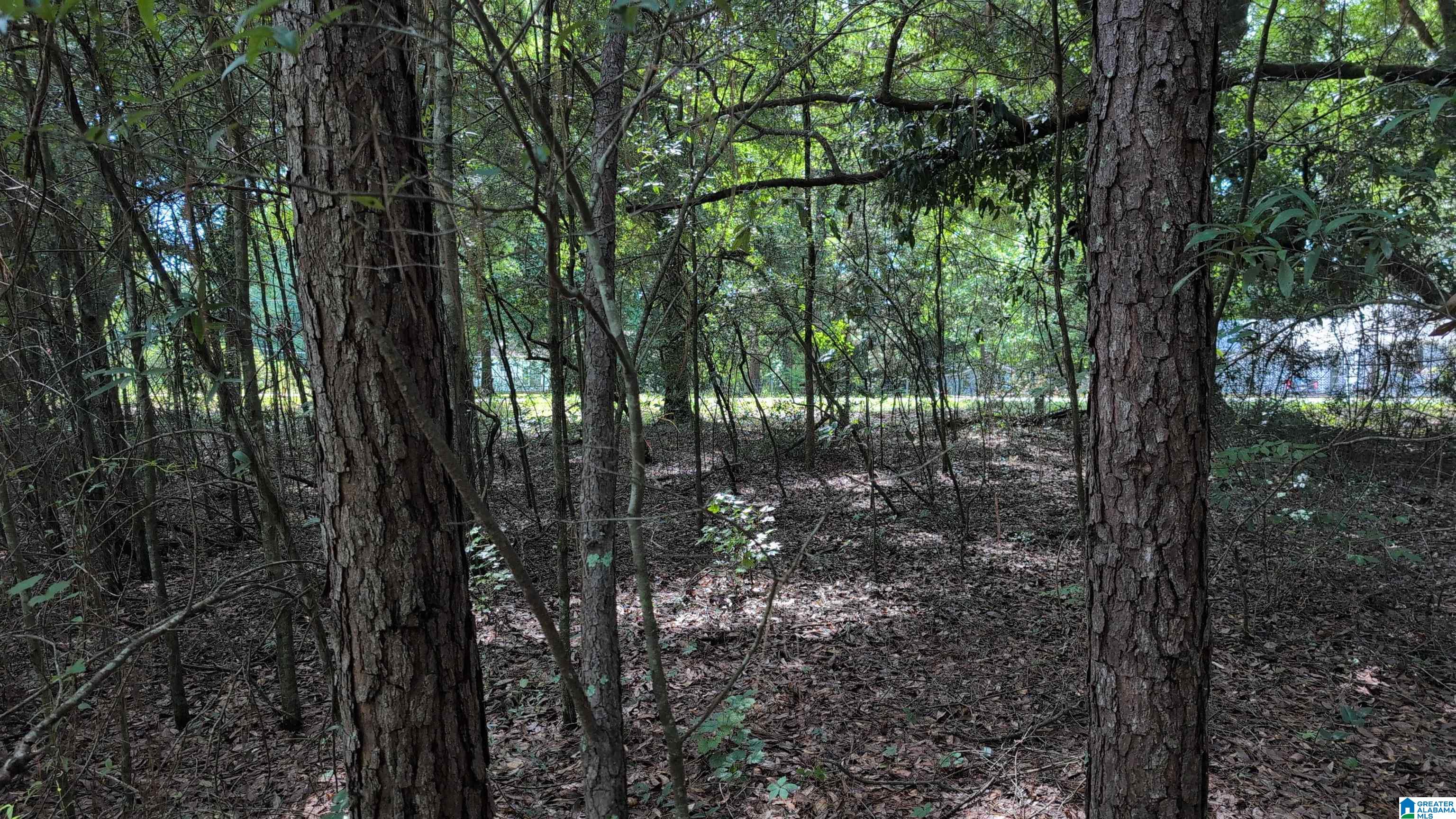1 Ac /- Coosada Road, Unit 1 Millbrook, AL 36054 - Photo 11 of 11
