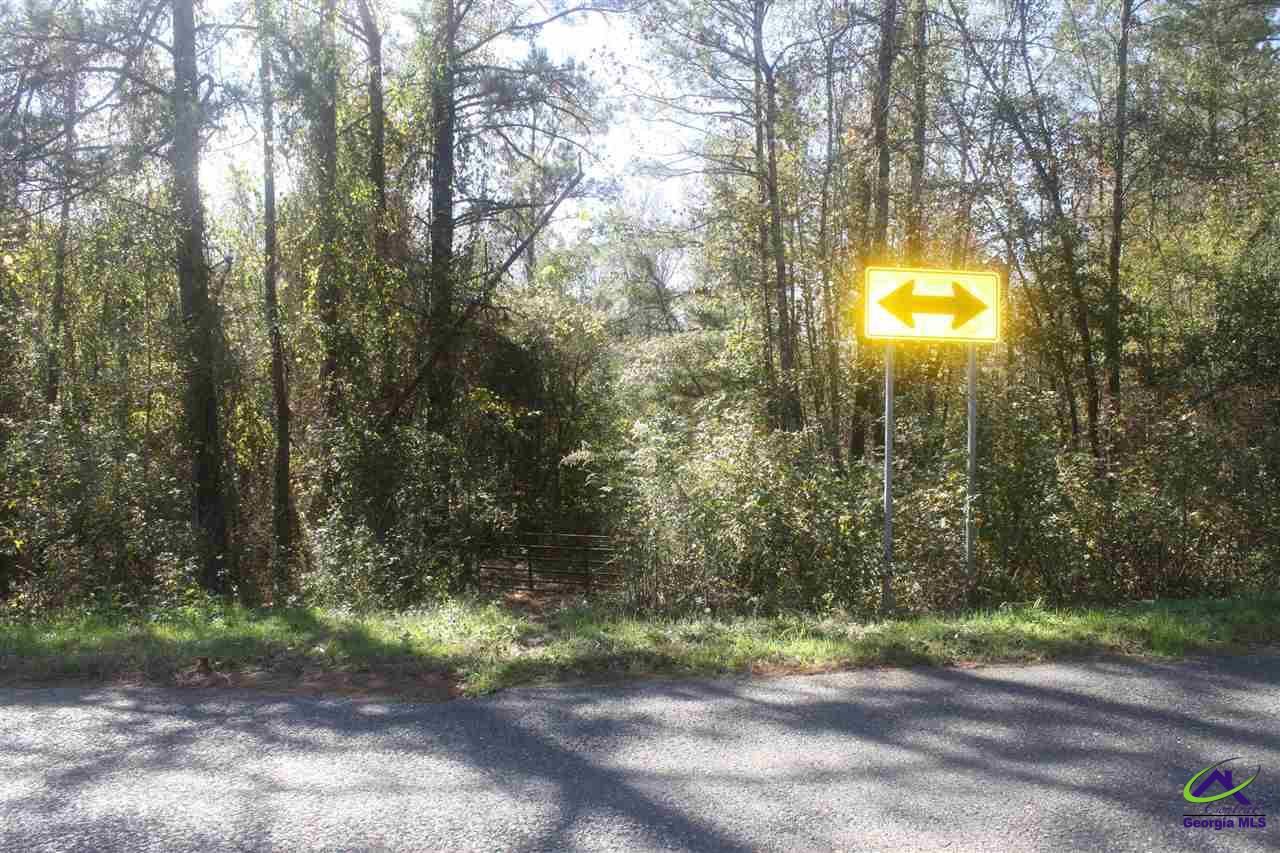 0 Tribble Road Fort Valley, GA 31030 - Photo 1 of 1