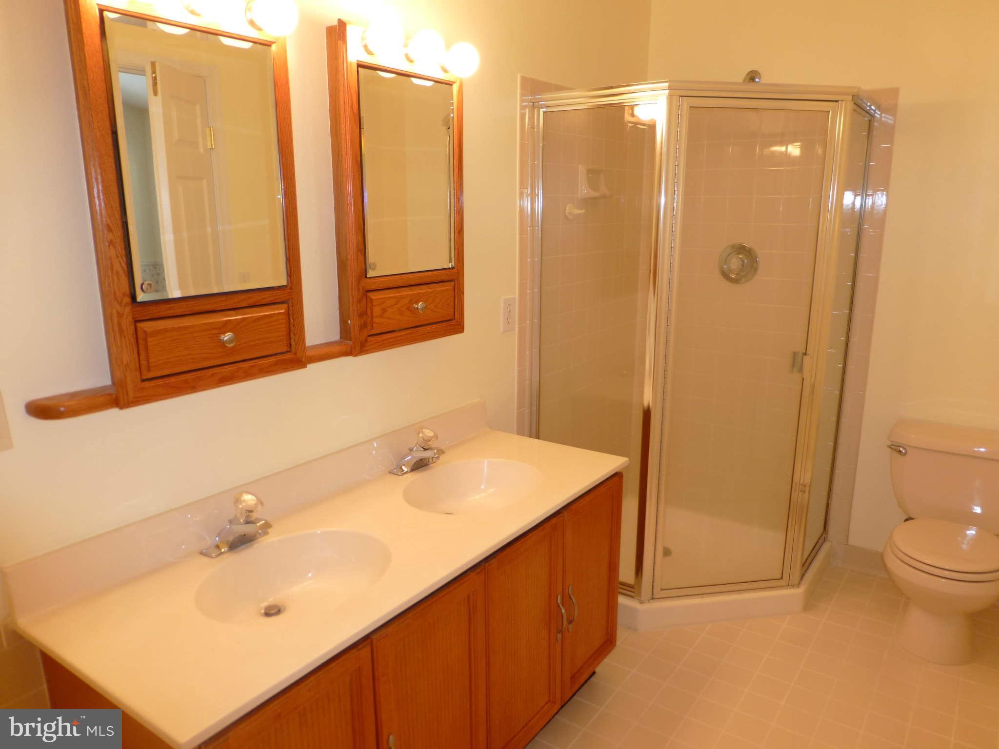 7311 Treetop Hill Lane Springfield, VA 22152 - Photo 14 of 26 a bathroom with a sink and a mirror