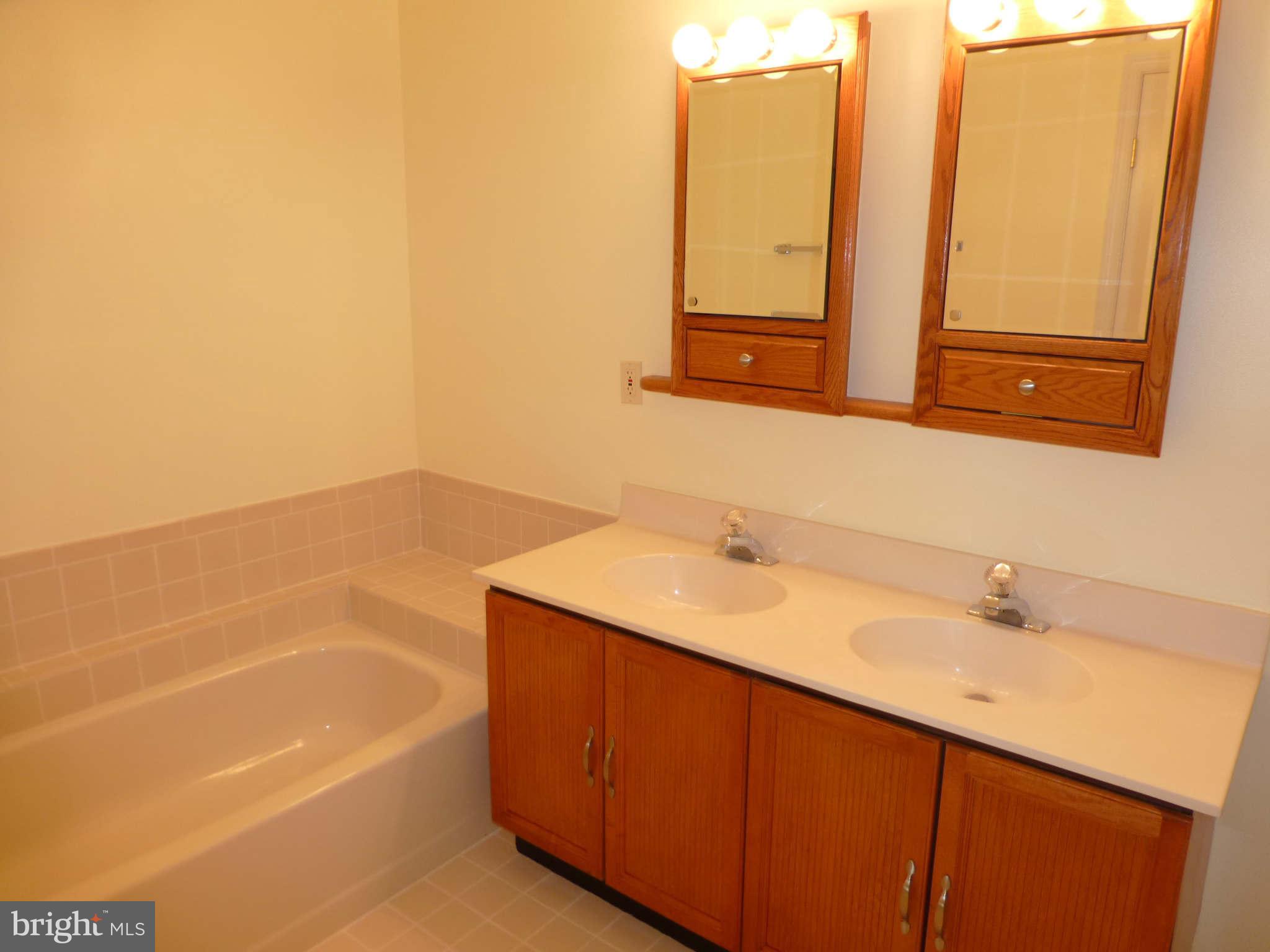 7311 Treetop Hill Lane Springfield, VA 22152 - Photo 15 of 26 a bathroom with a sink and a bathtub