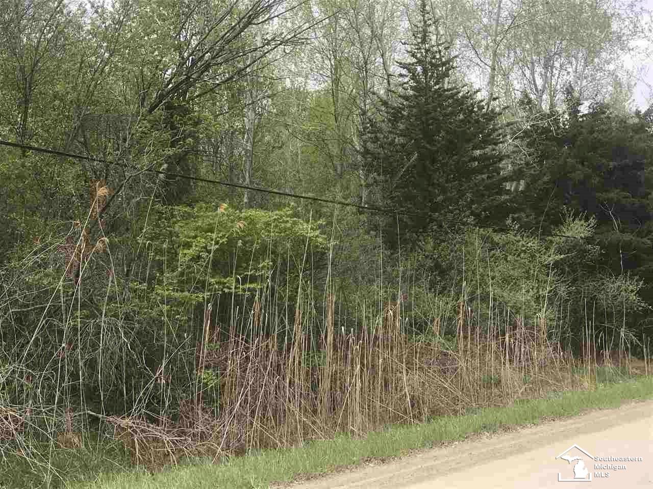 0 Bunton Road Milan, MI 48160 - Photo 3 of 22