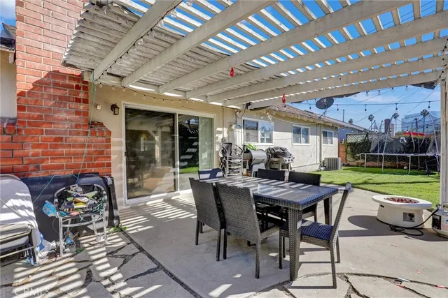 a view of a park with palm trees