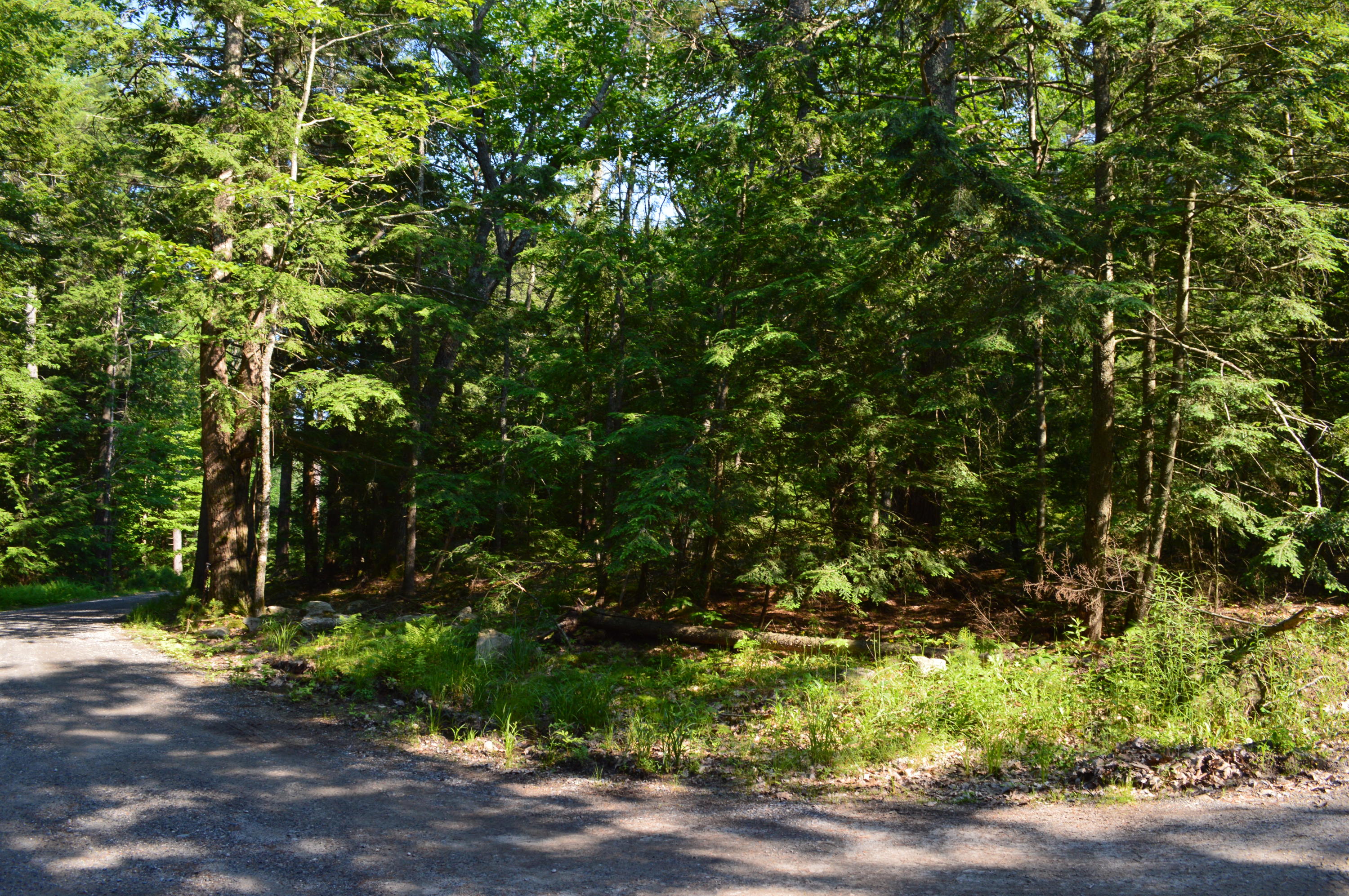 0 Environmental Windham, ME 04062 - Photo 13 of 19 DSC_0429