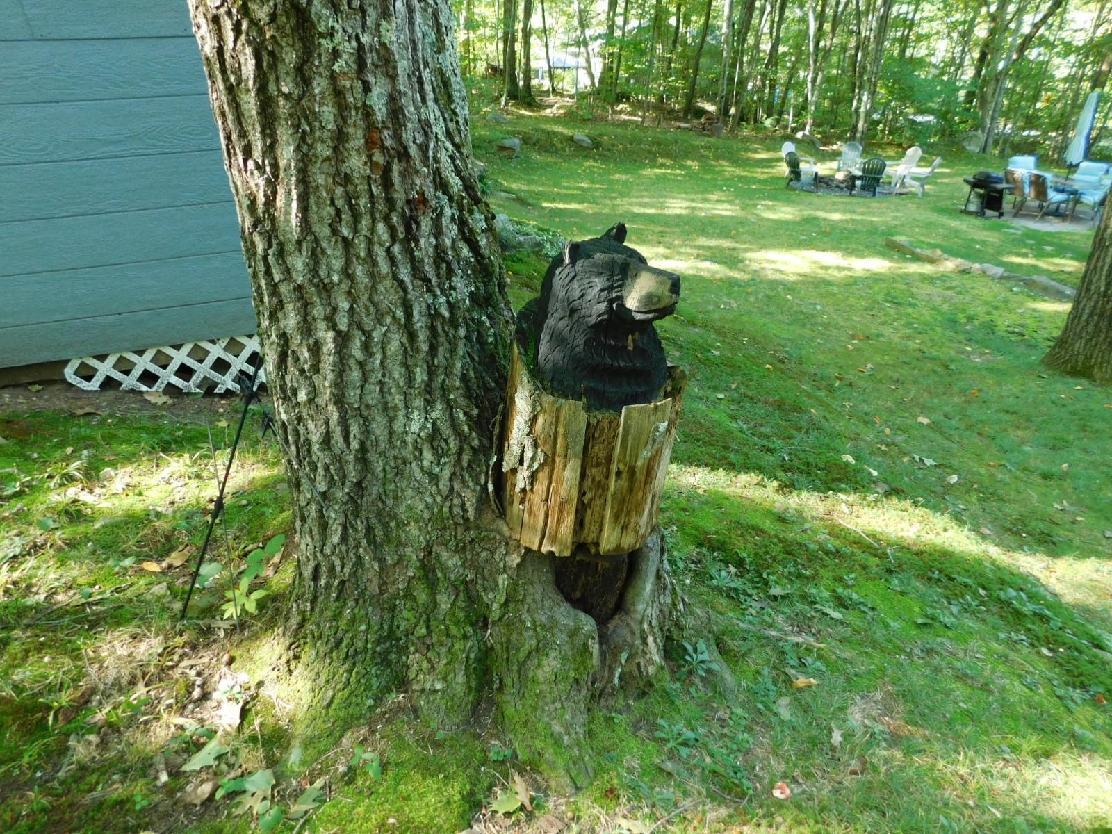 394 Washington Street Rochester, NH 03839 - Photo 33 of 34