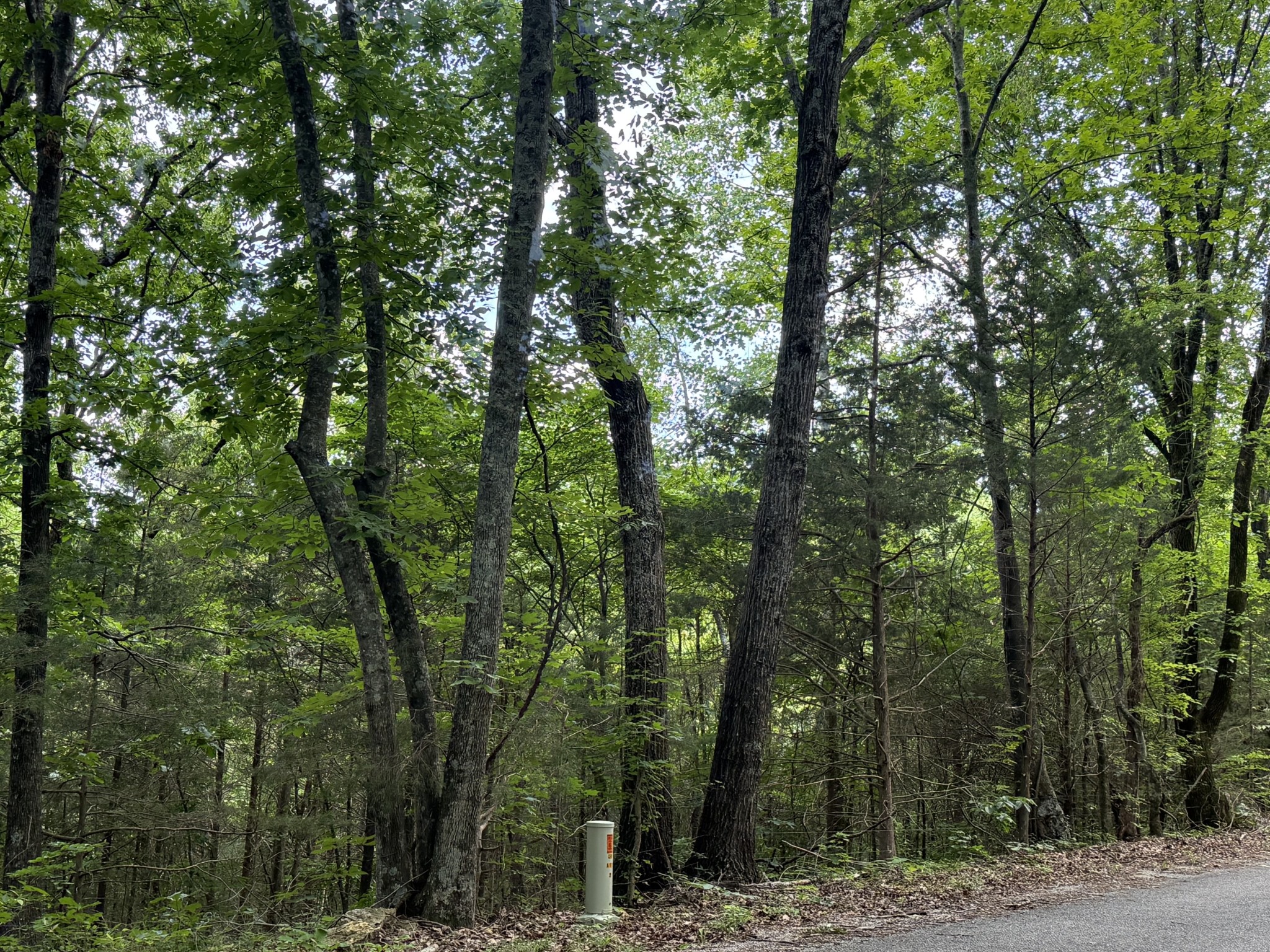 0 Jack Holt Road Prospect, TN 38477 - Photo 8 of 9