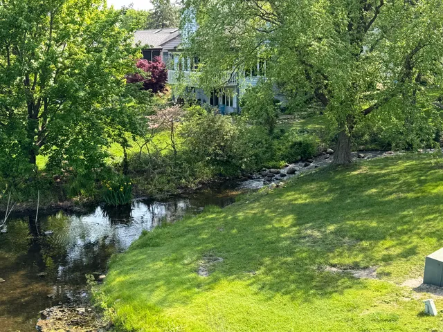 a view of yard with green space
