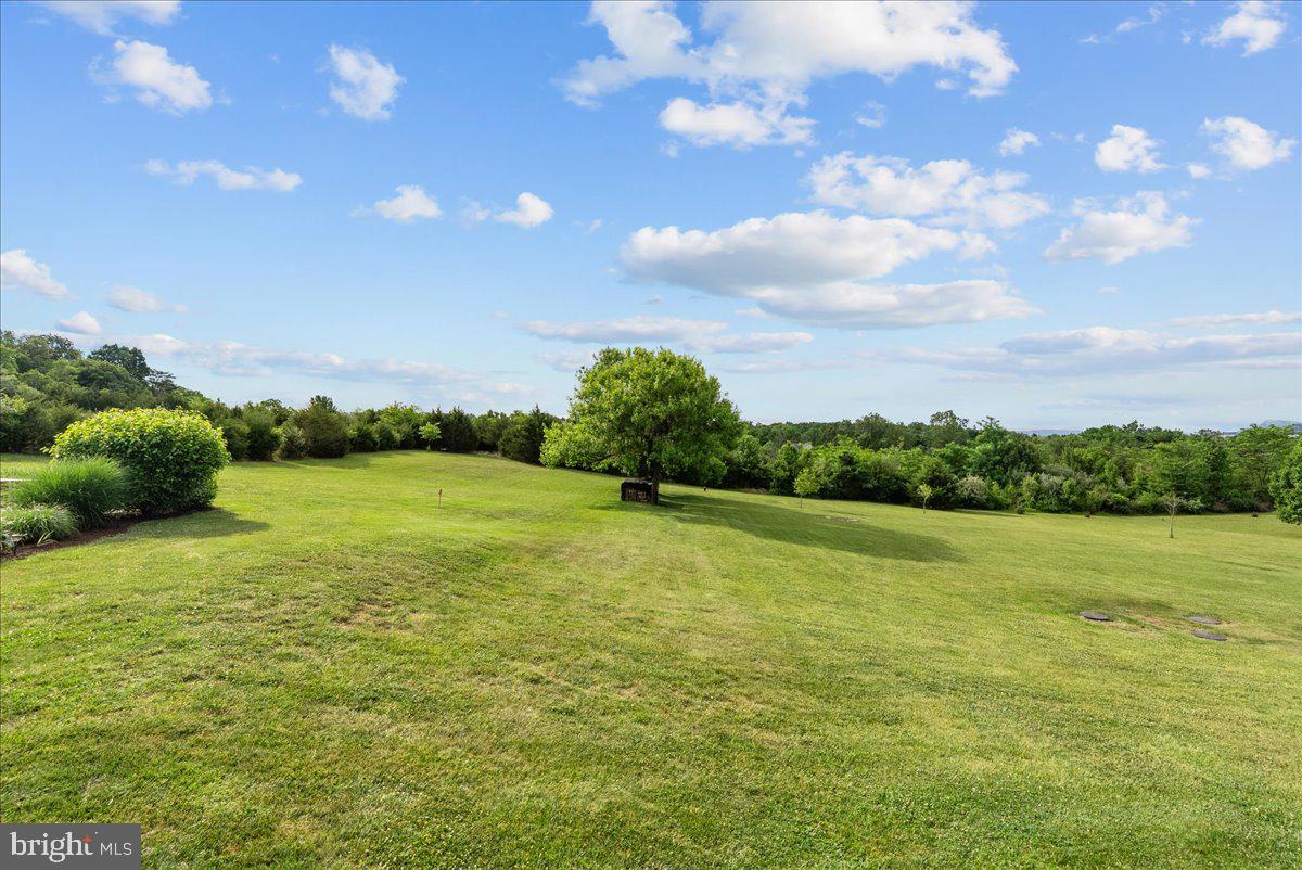 461 Veterans Road Middletown, VA 22645 - Photo 47 of 54