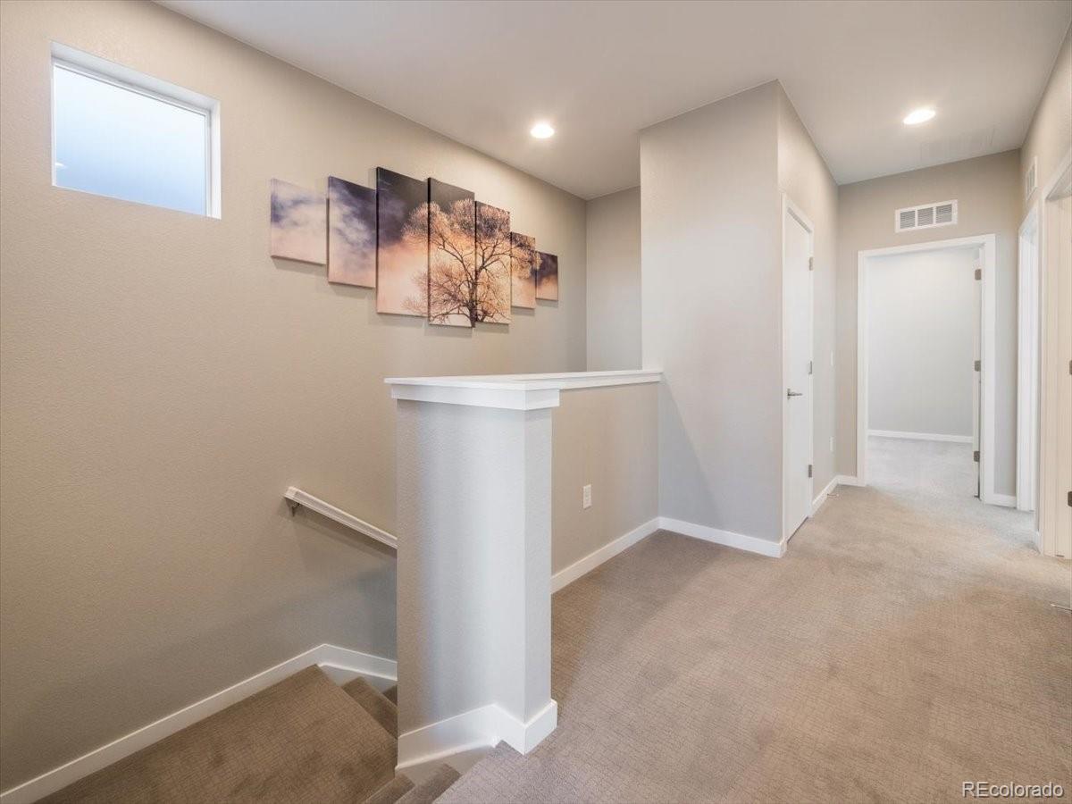 8923 Ramblestone Street Highlands Ranch, CO 80129 - Photo 22 of 40 Gallery Image 22