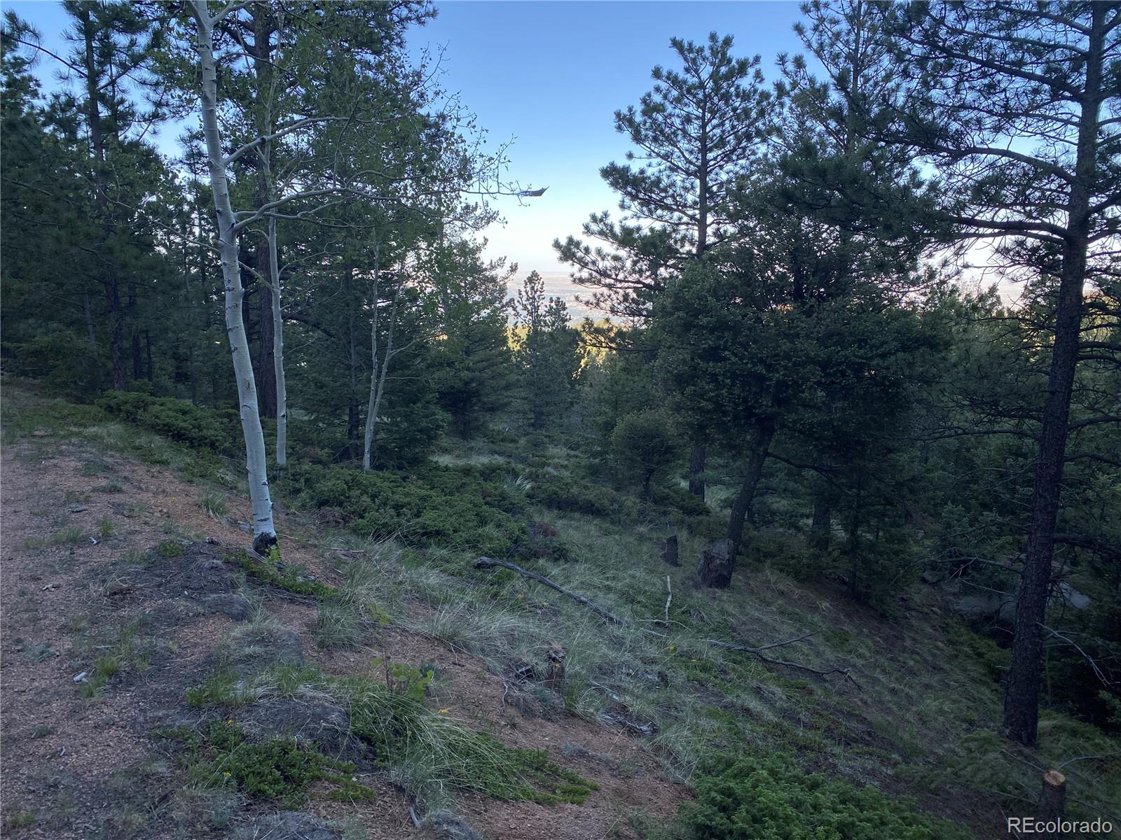 285 Forest Road Manitou Springs, CO 80829 - Photo 11 of 17