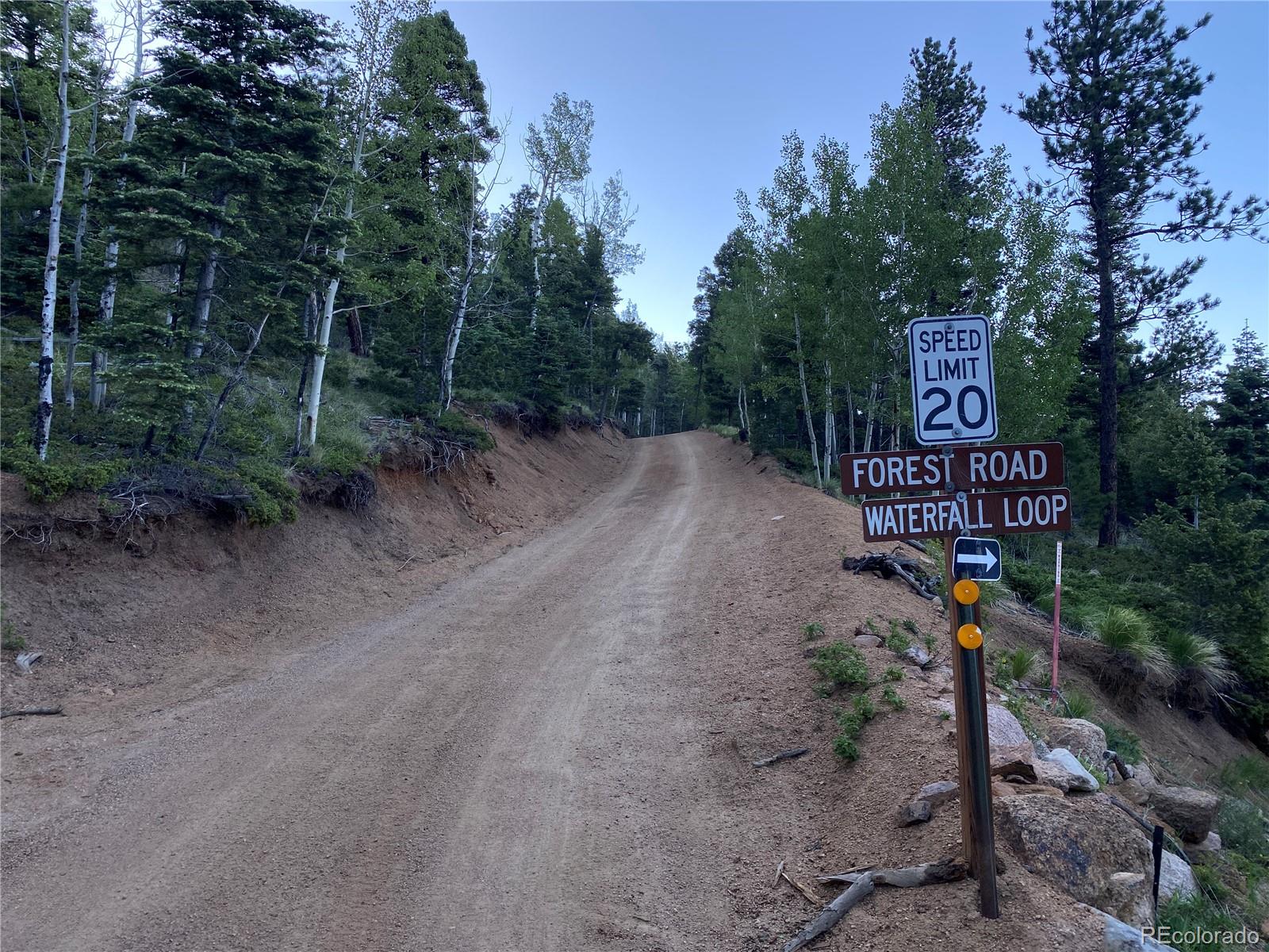 285 Forest Road Manitou Springs, CO 80829 - Photo 13 of 17