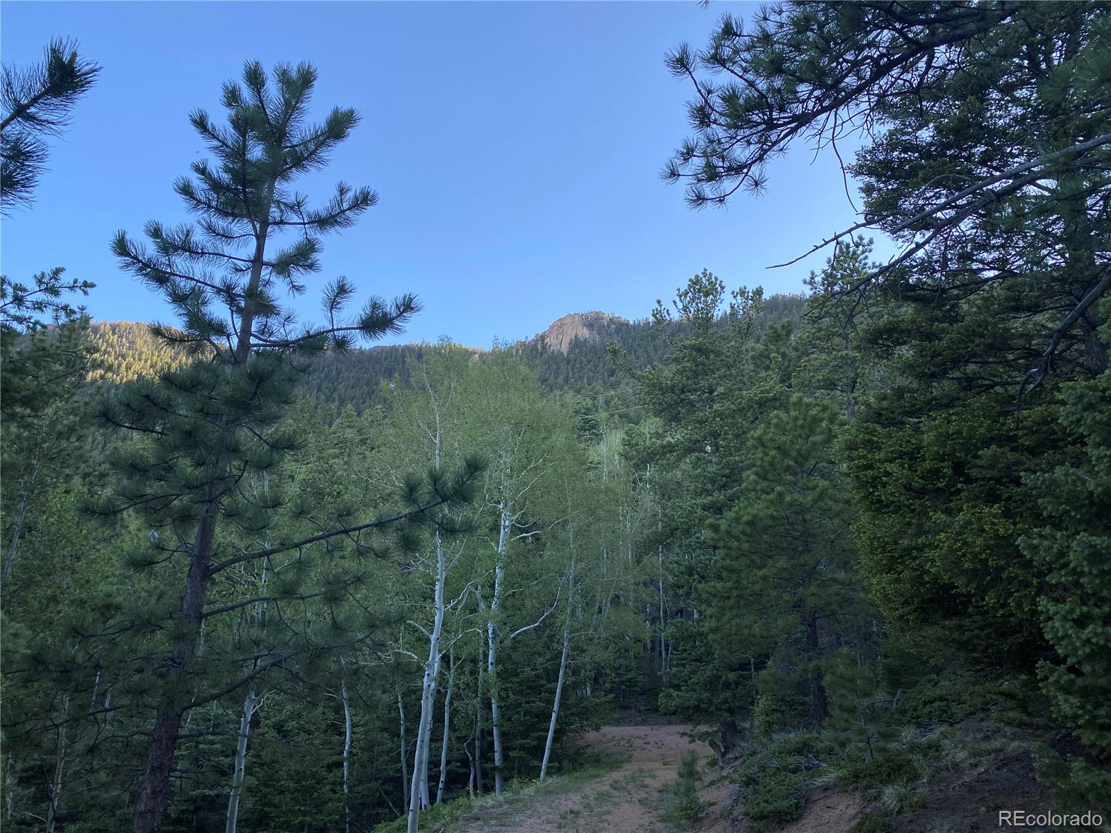 285 Forest Road Manitou Springs, CO 80829 - Photo 2 of 17