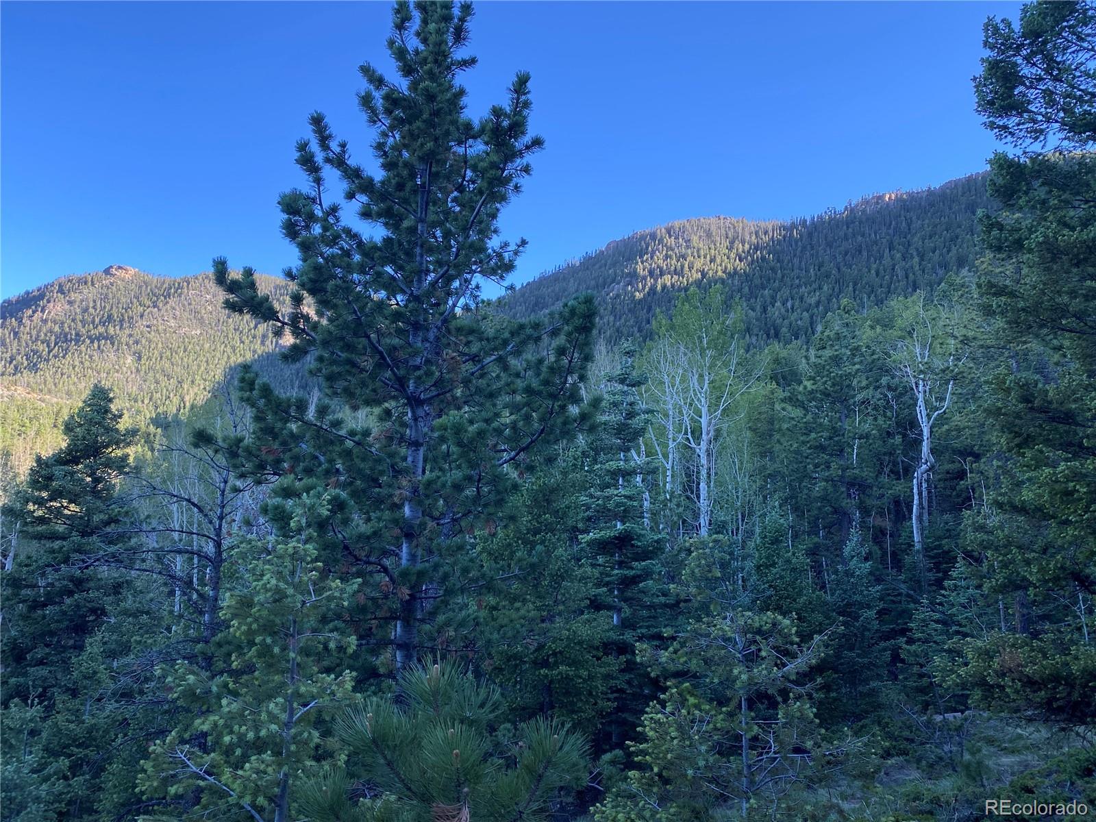 285 Forest Road Manitou Springs, CO 80829 - Photo 3 of 17