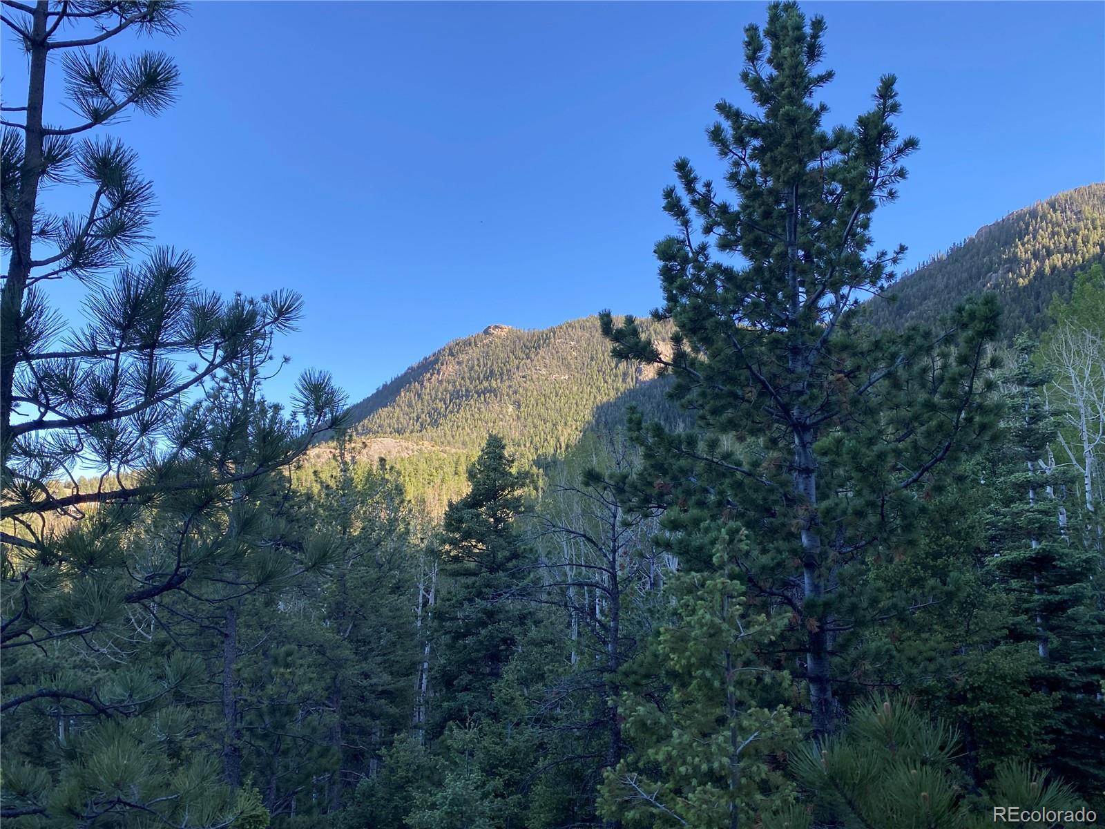 285 Forest Road Manitou Springs, CO 80829 - Photo 4 of 17