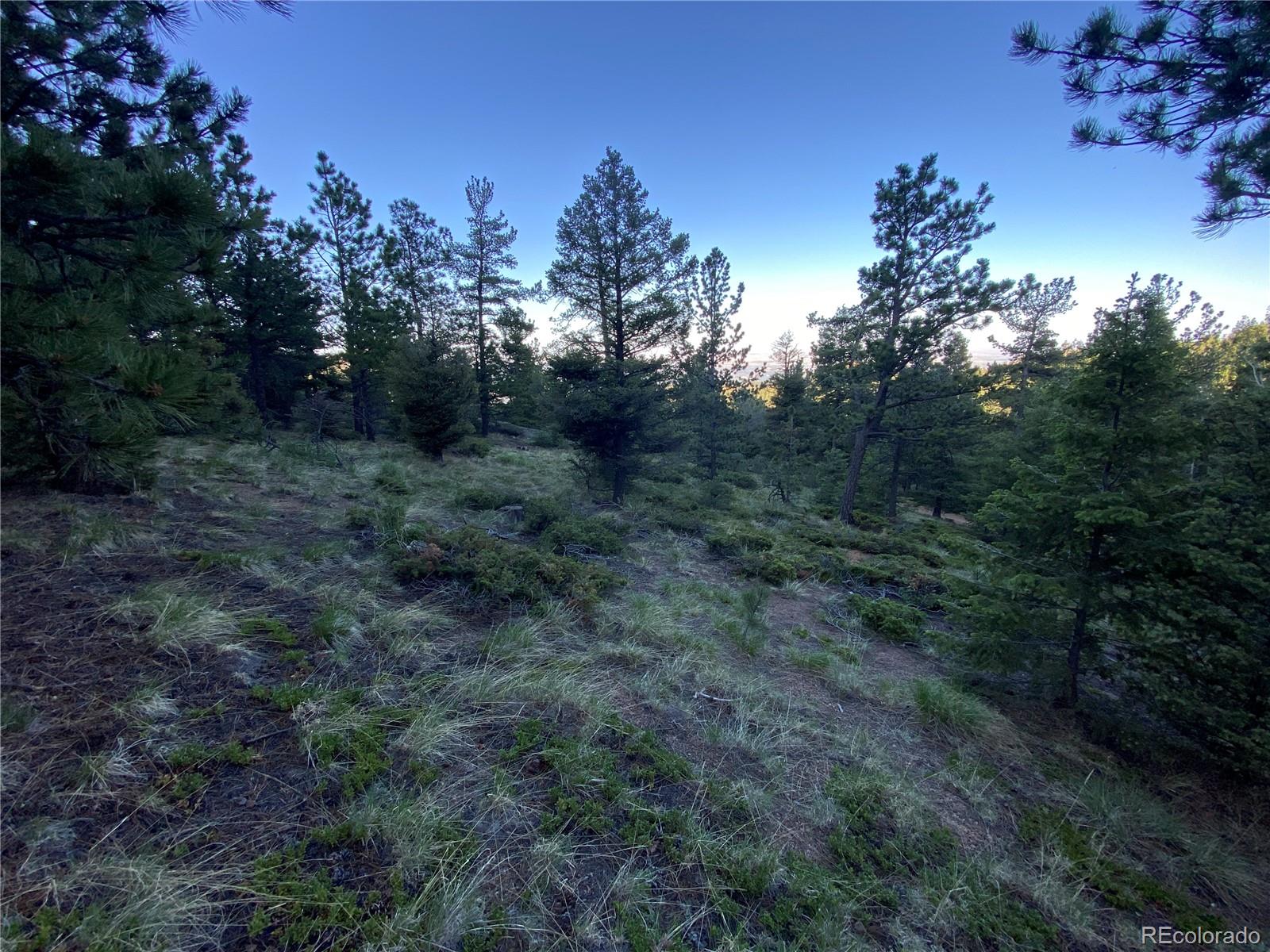 285 Forest Road Manitou Springs, CO 80829 - Photo 5 of 17