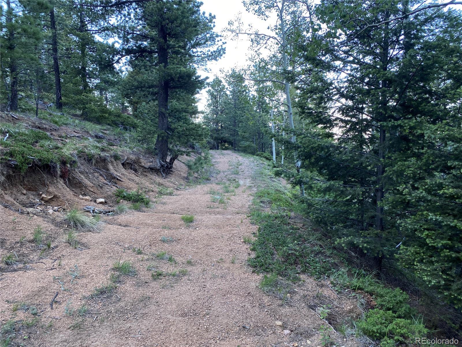 285 Forest Road Manitou Springs, CO 80829 - Photo 9 of 17
