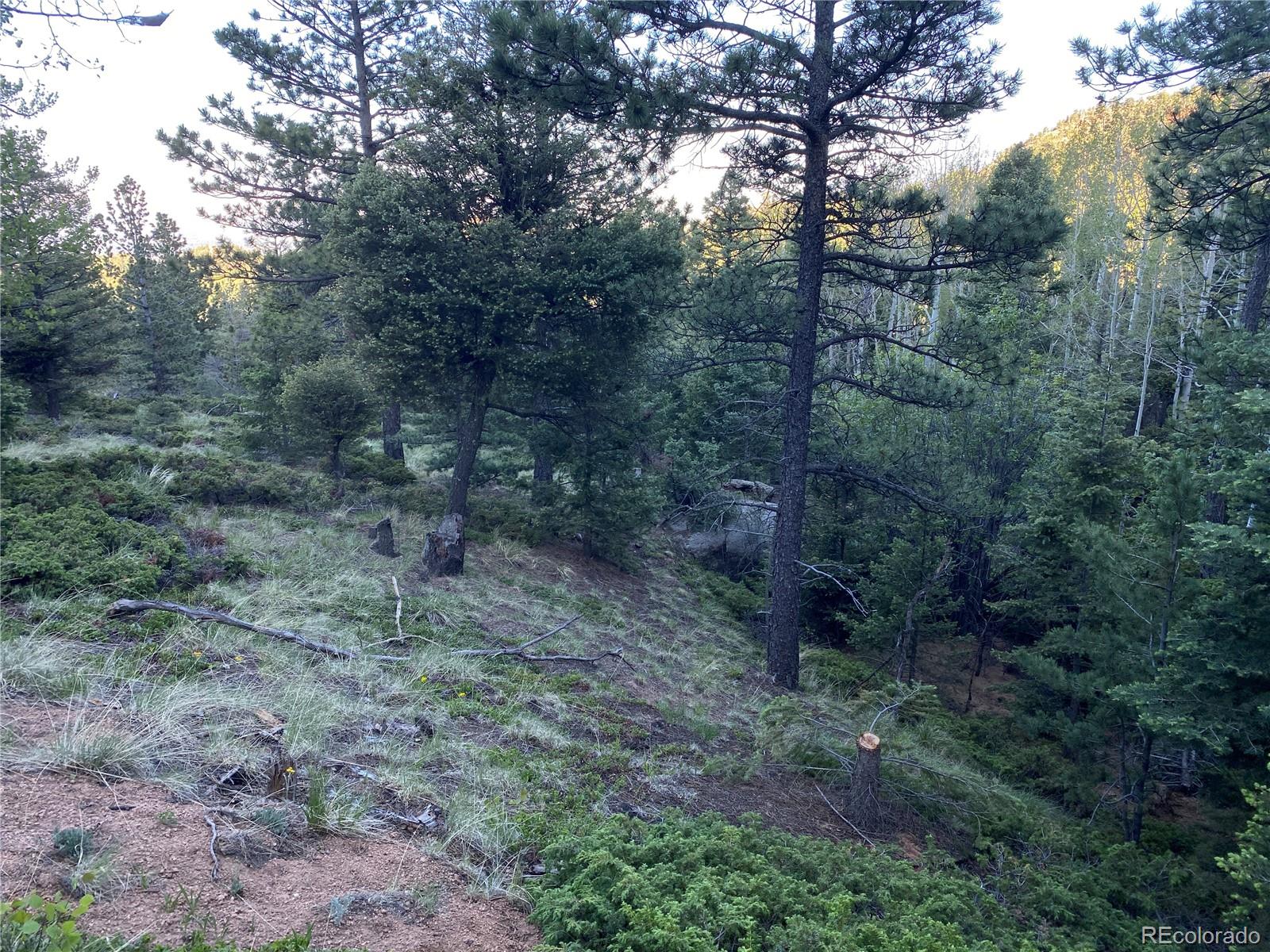 285 Forest Road Manitou Springs, CO 80829 - Photo 10 of 17