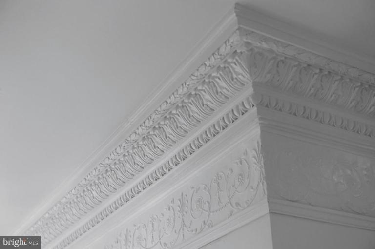 900 East Capitol Street Northeast Washington, DC 20003 - Photo 5 of 30 Custom Plaster Work