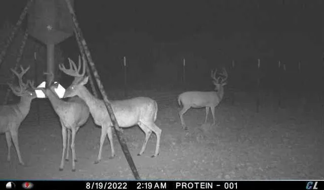 a view of a room with furniture and wooden floor