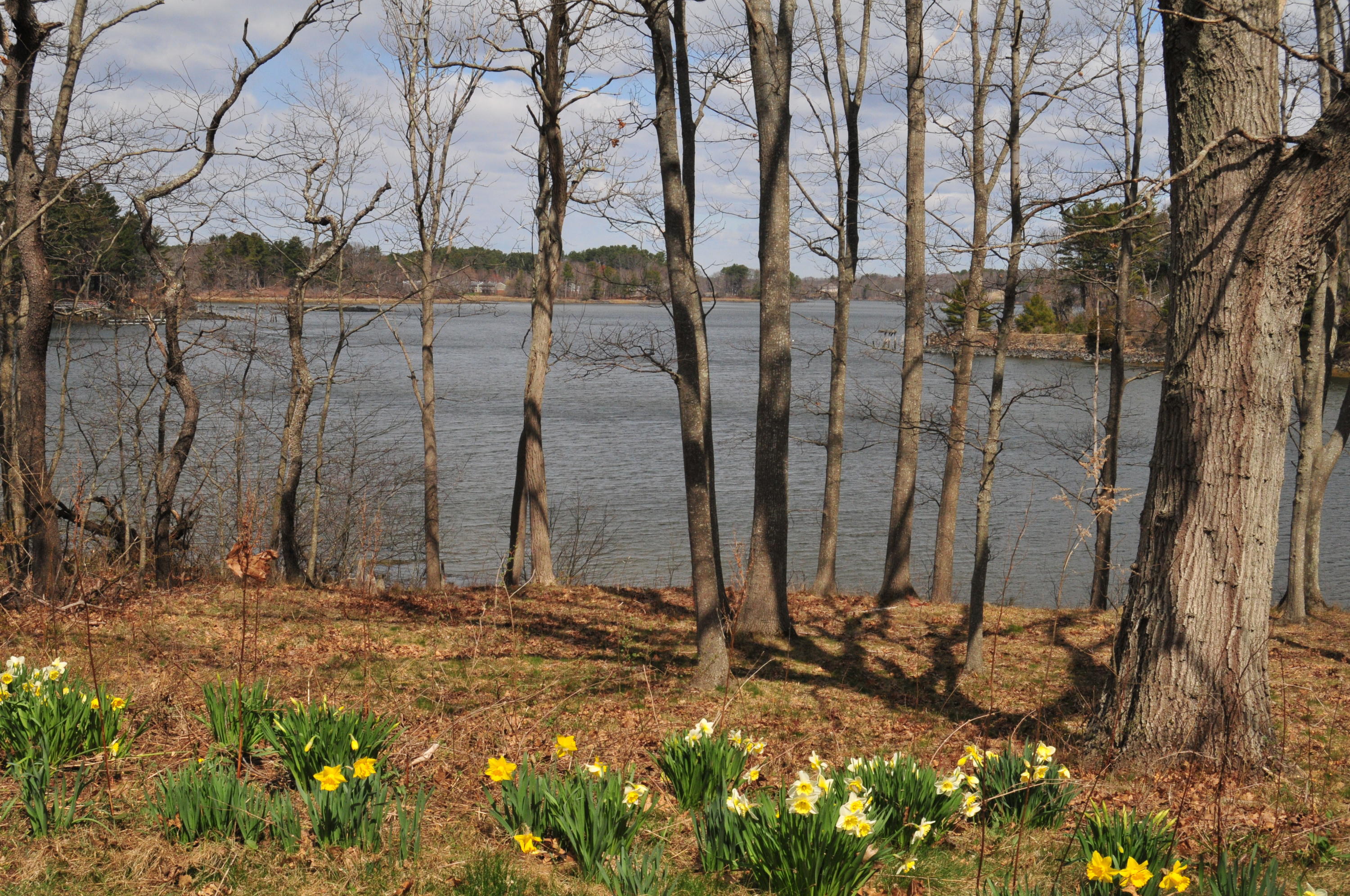 9 Pepperrell Road Kittery Point, ME 03905 - Photo 5 of 21 DSC_2516