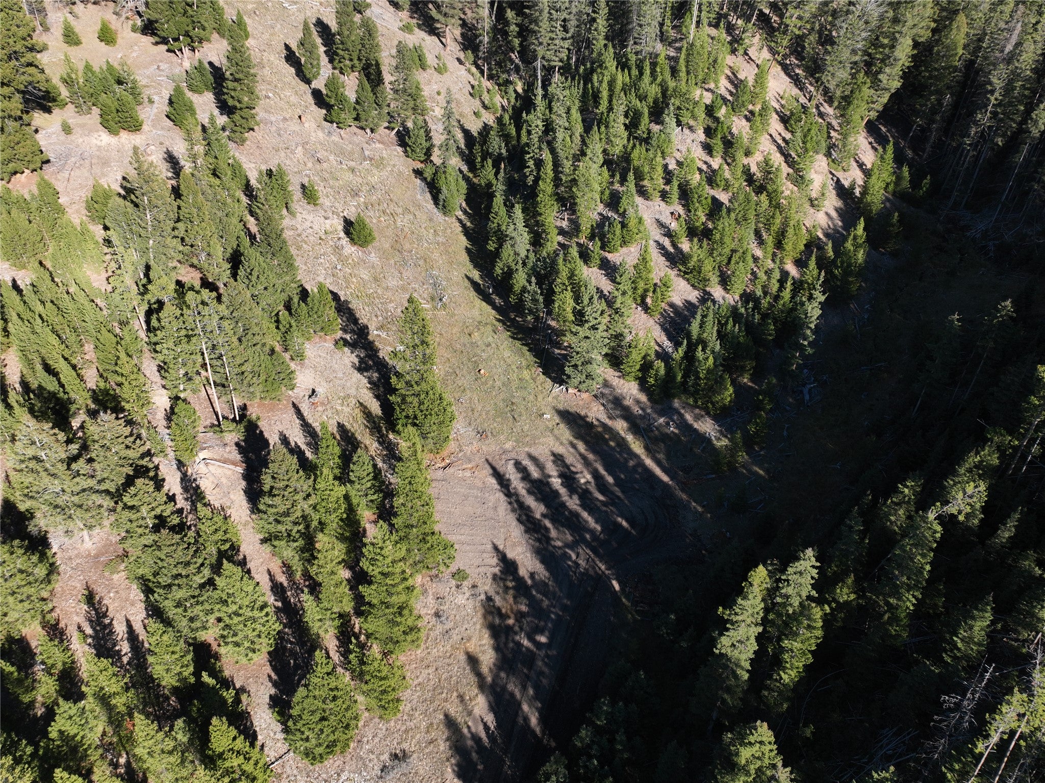 Lot 7 Ruby Mine Road Butte, MT 59701 - Photo 11 of 25 Gallery Image 11
